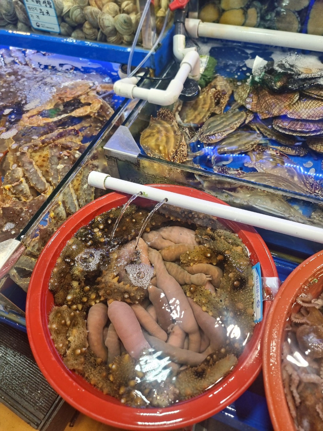홍천맛집 신토불이들려서 인제 스피디움 실내서킷장에서 놀고 스파하고 인제 자작나무숲보고 막국수까지 종합적으로 쉬다왔어요
