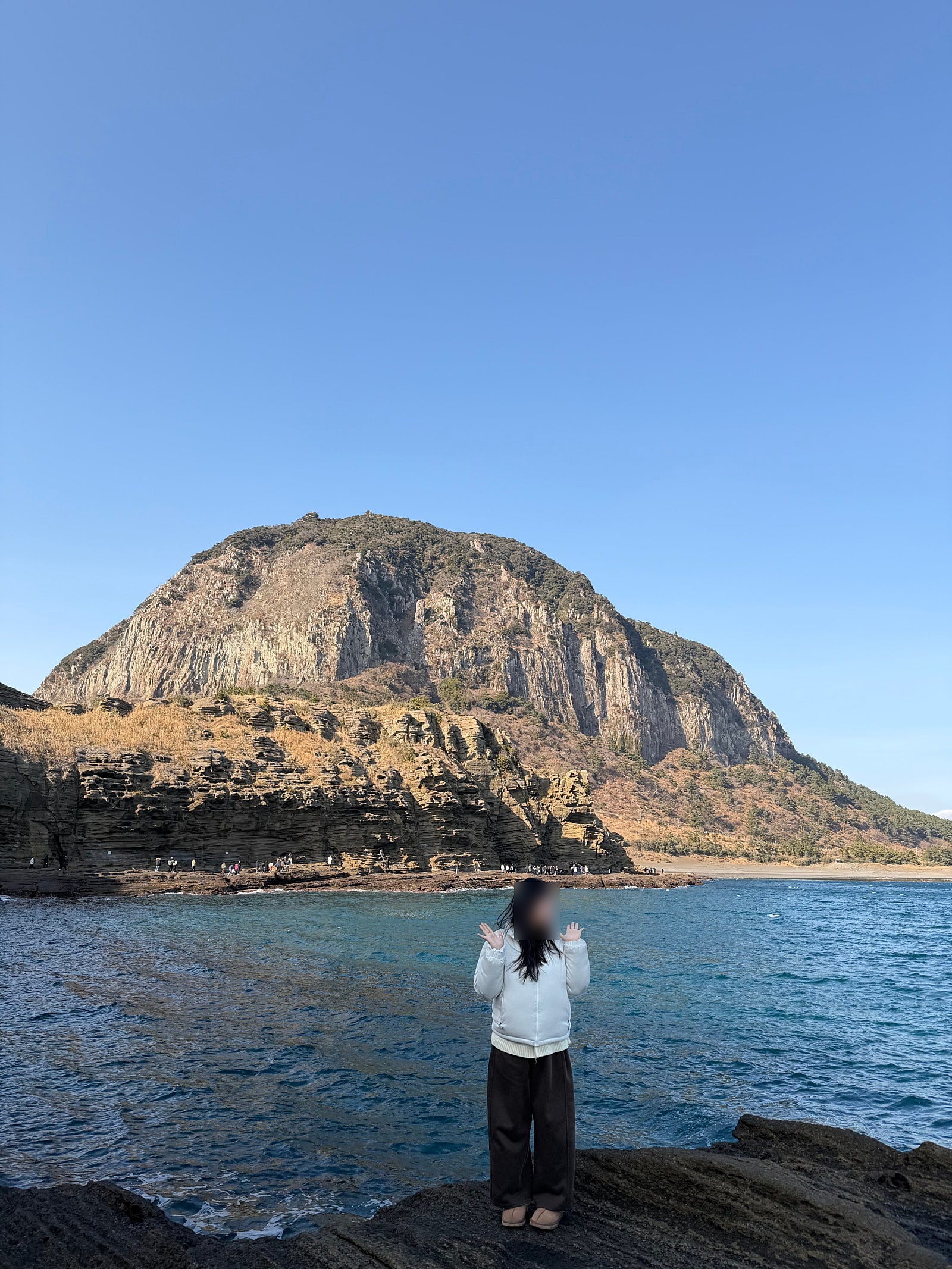 🌴🐳먹고 쉬러 떠난 겨울 제주여행일기(+제주 가볼만한곳 대방출!!)🐳🌴[1~2일차]