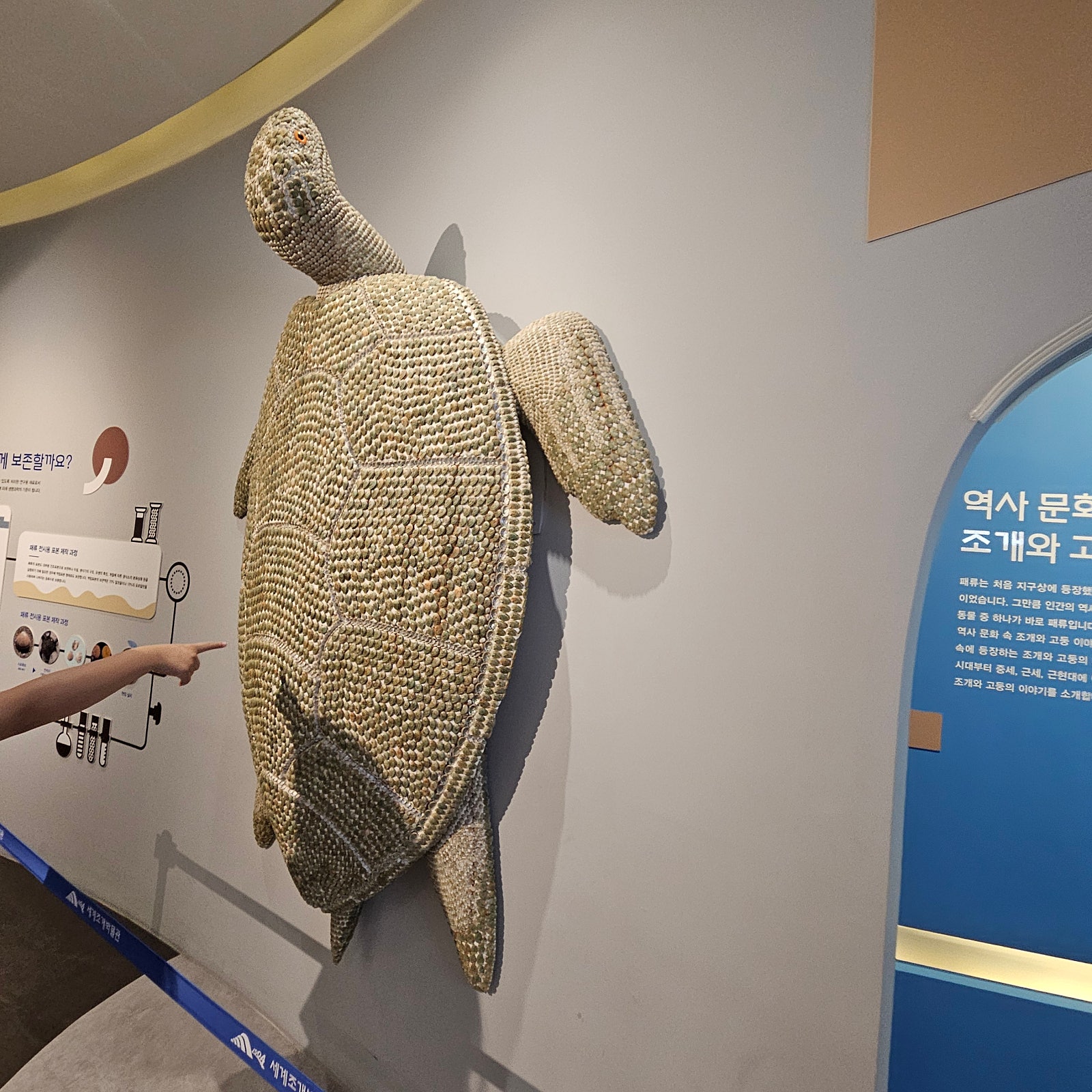 신안~목포 3박4일 여행기 1탄☀️🌉