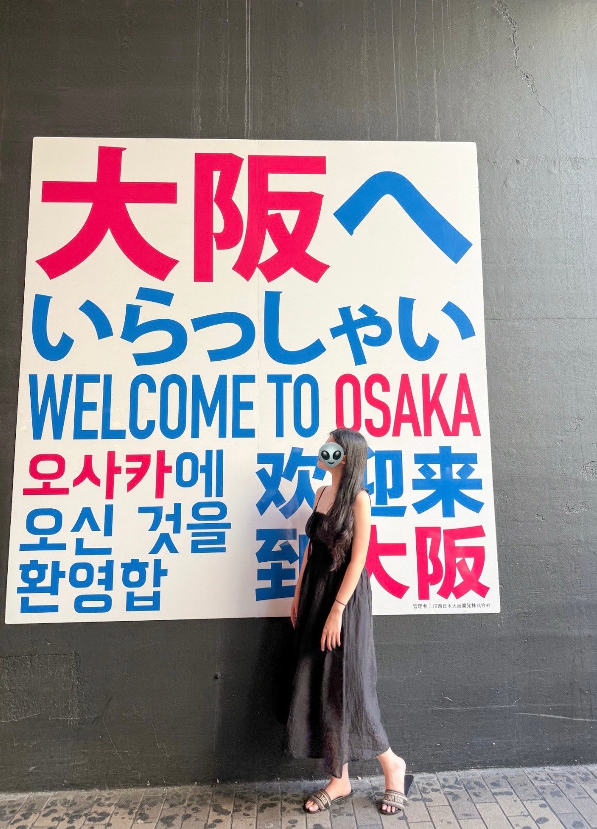 즉흥으로 간 1박2일 오사카 🇯🇵 돈키호테 추천템까지 있다구요 ! ✅