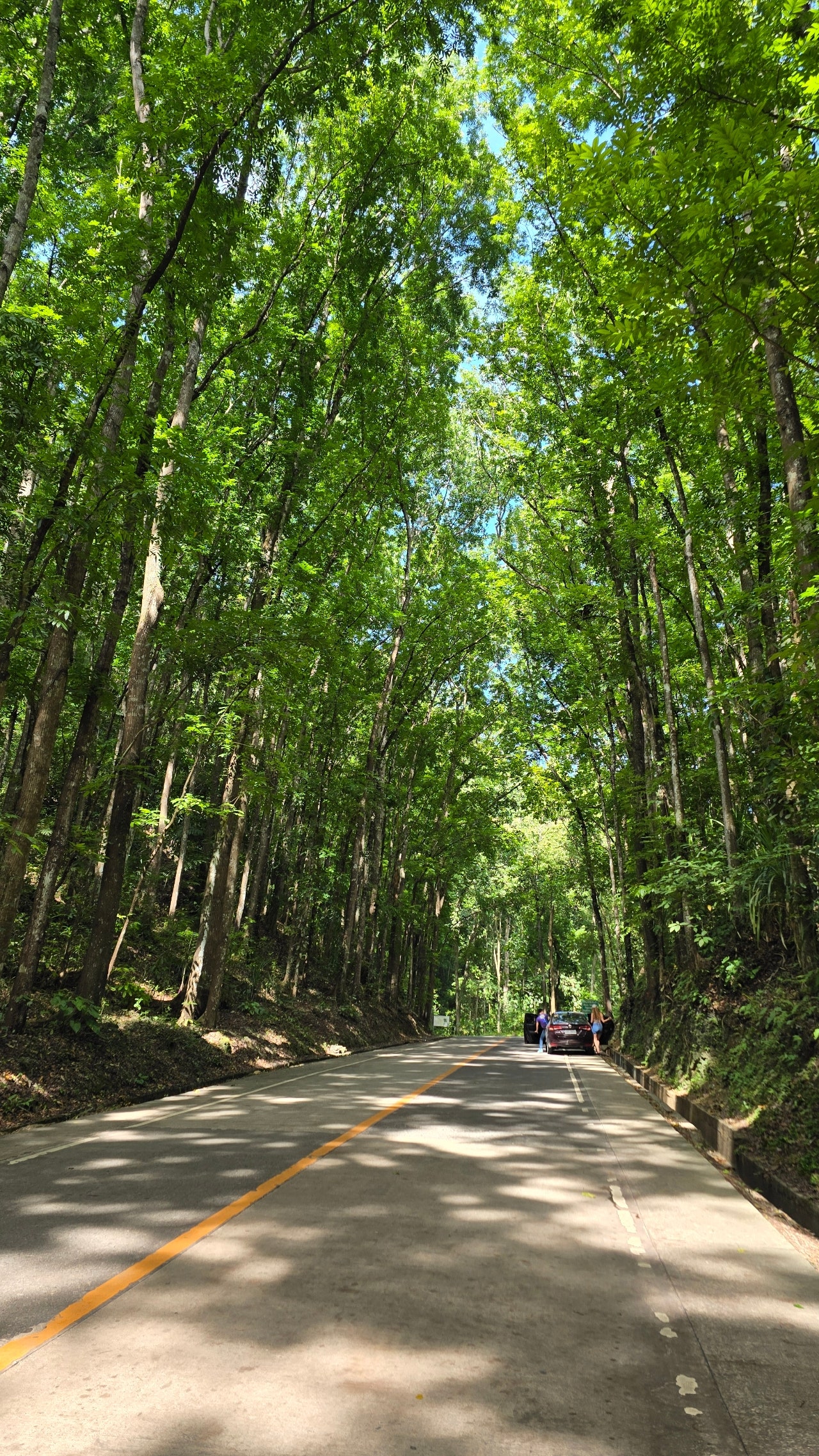 또 가고싶은 세부 4박6일, 보홀은 덤 (항목별 정리/꿀팁포함)
