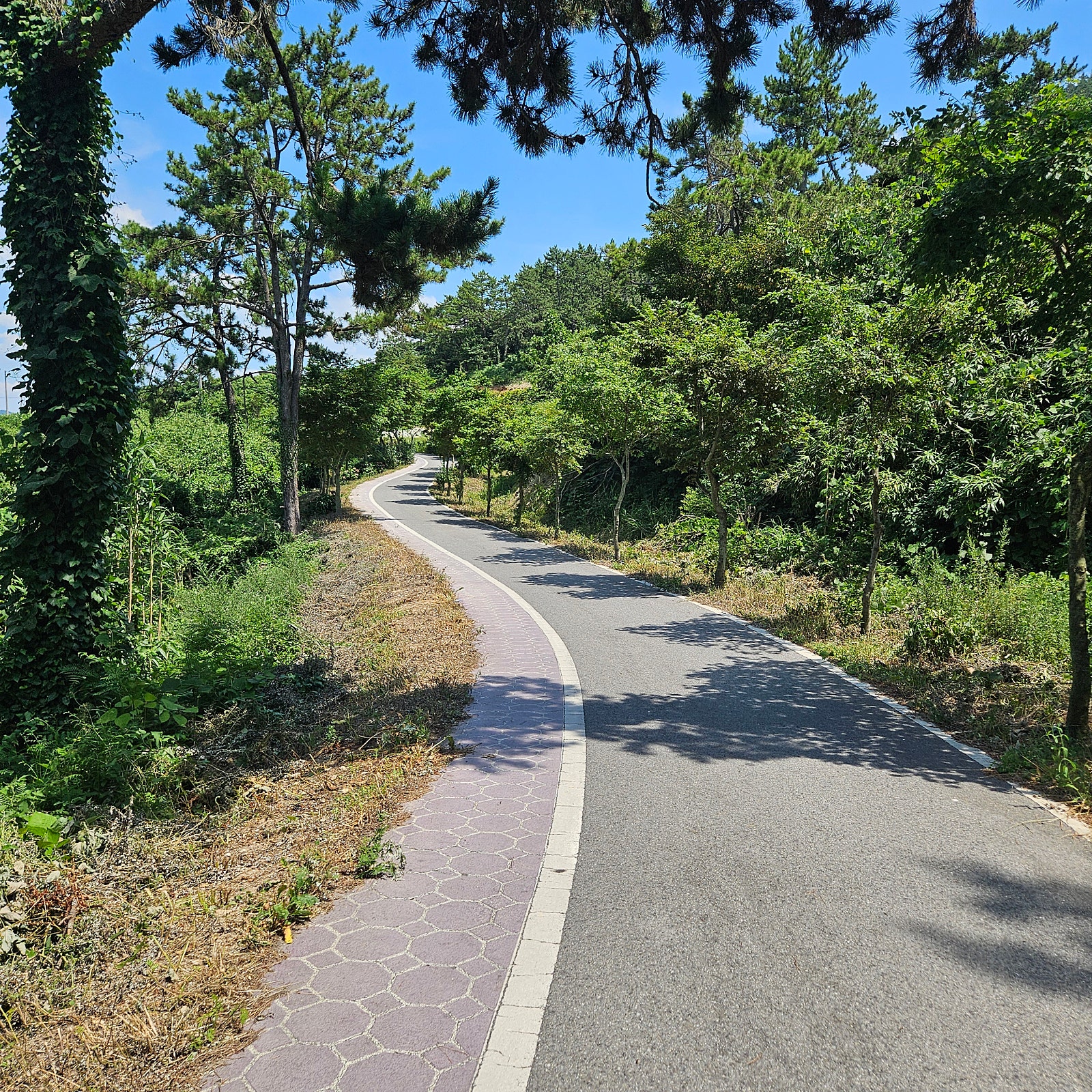 신안~목포 3박4일 여행기 1탄☀️🌉