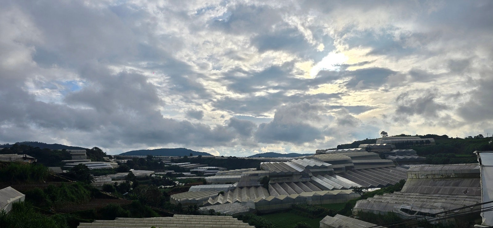 홀로 베트남 달랏 여행기