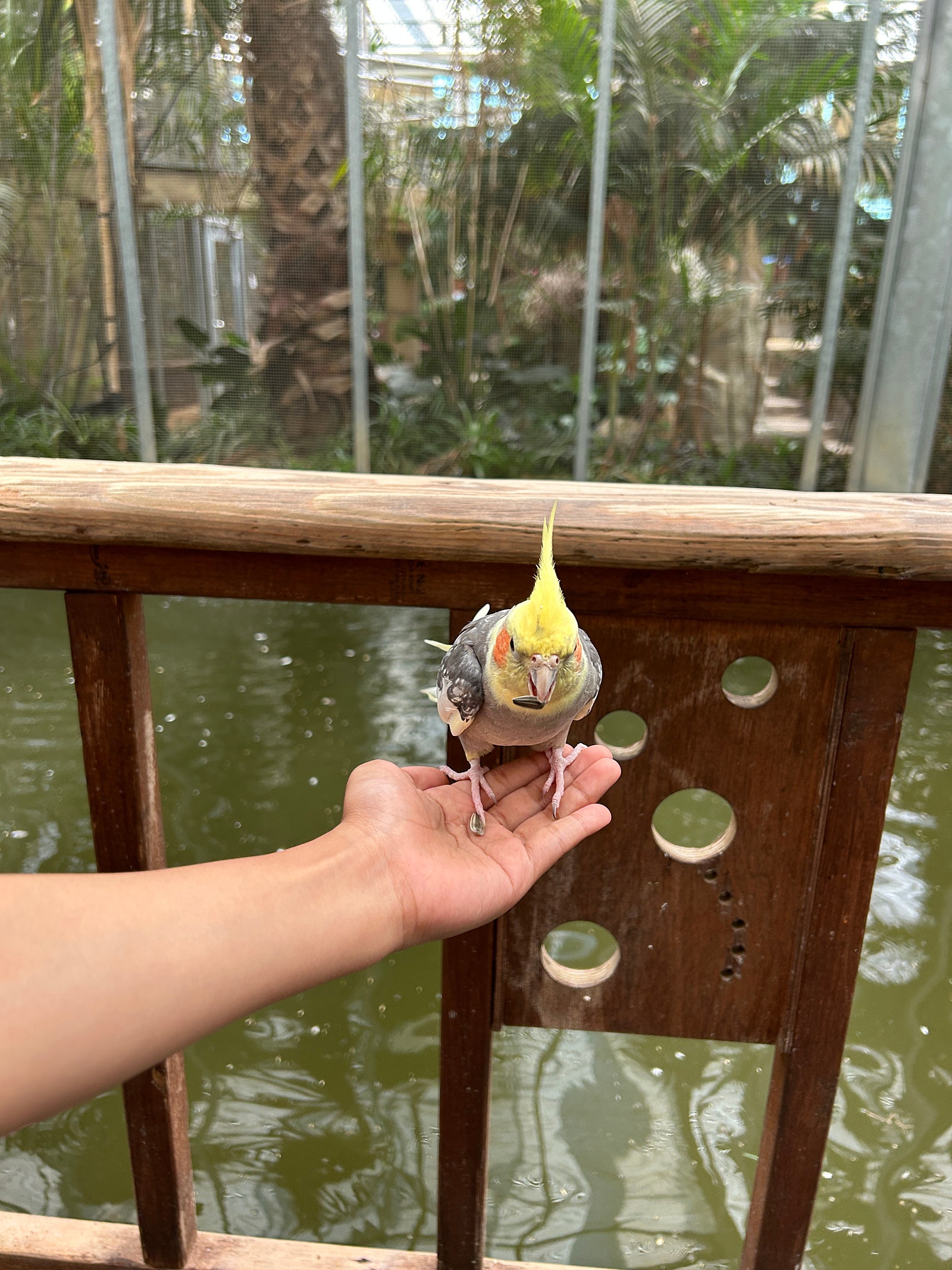 경주 버드파크