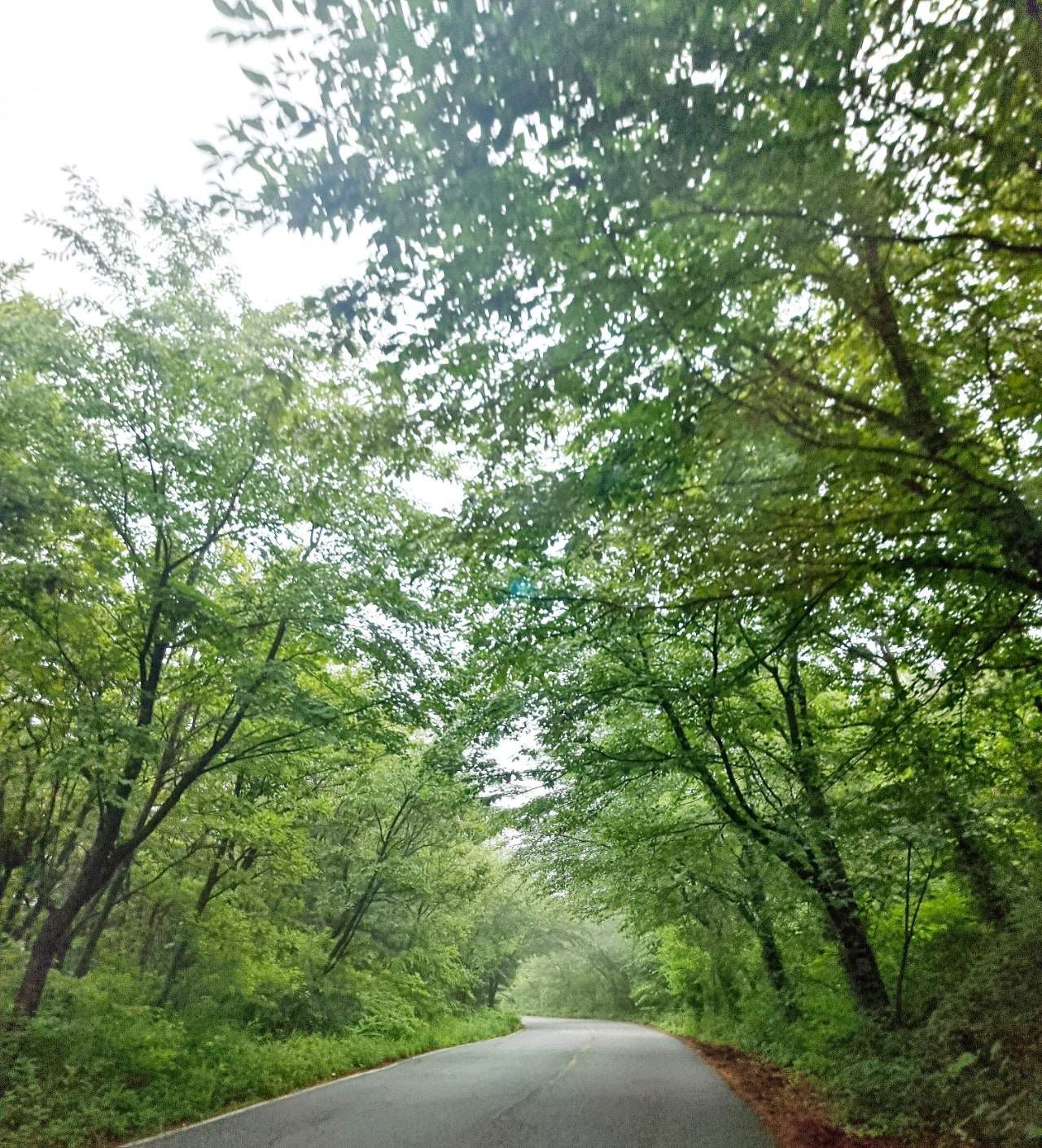 속초 종합적으로 뿌시기~~^^