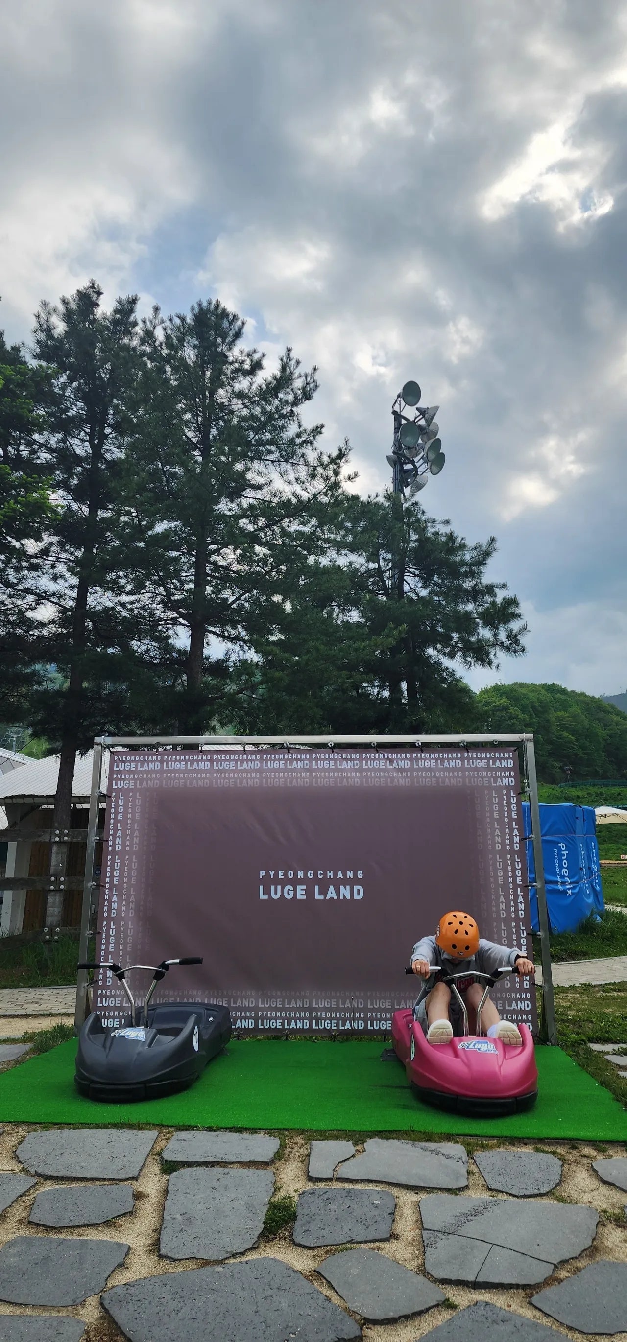 봄. 평창 휘닉스 파크 여행