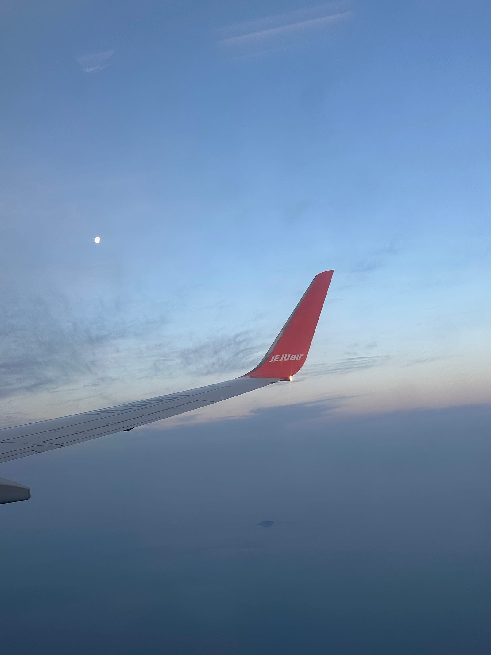 🍊🌴엄마와 함께 떠나는 제주여행[1~2일차]🌴🍊