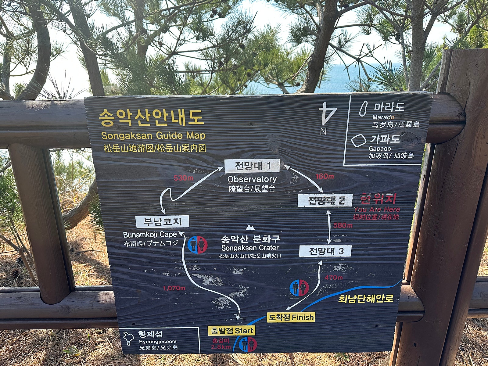 🍊🌴엄마와 함께 떠나는 제주여행[1~2일차]🌴🍊