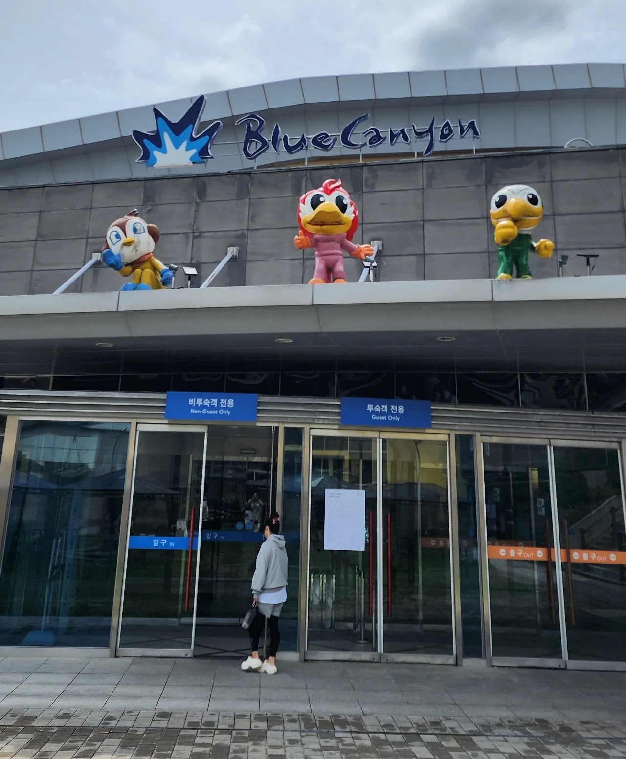 봄. 평창 휘닉스 파크 여행