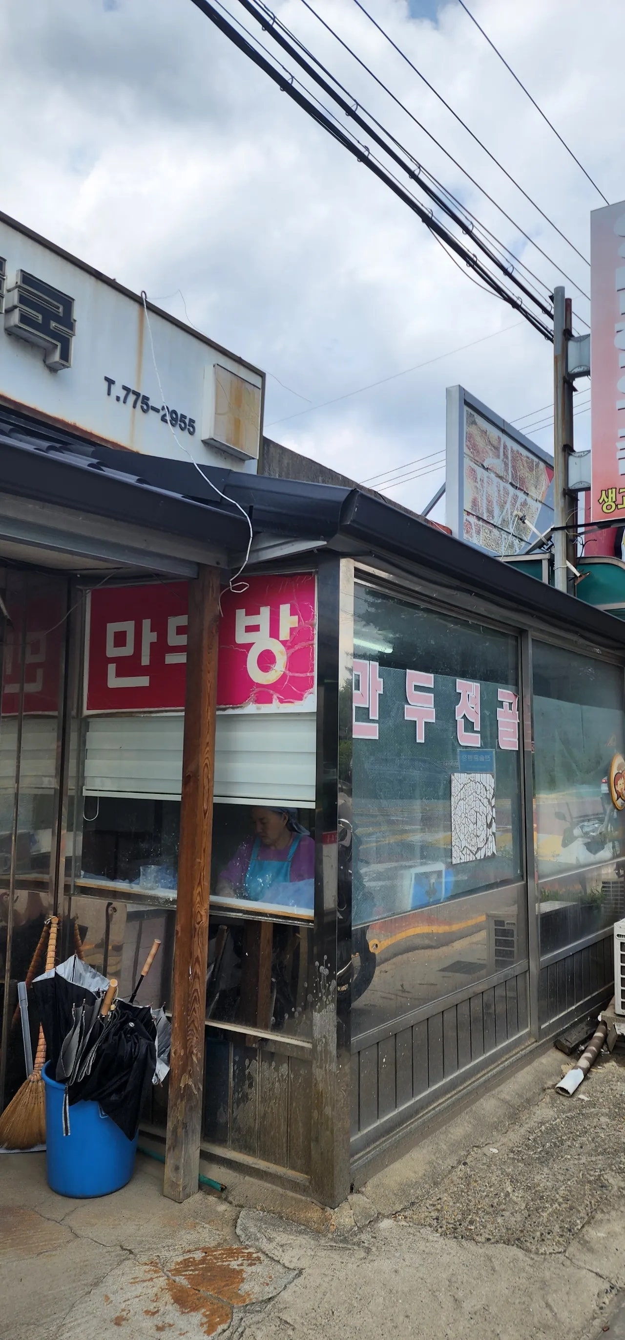 봄. 평창 휘닉스 파크 여행