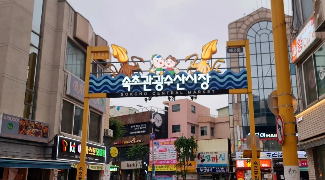 속초 종합적으로 뿌시기~~^^