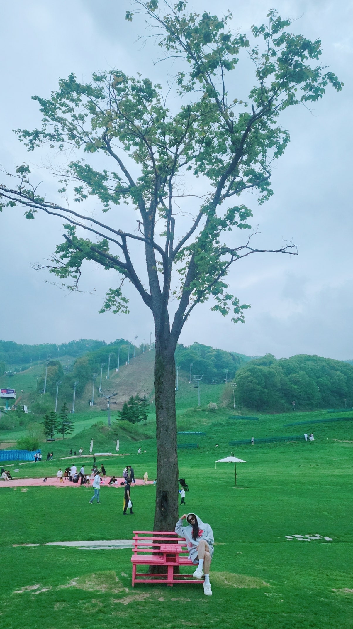 봄. 평창 휘닉스 파크 여행