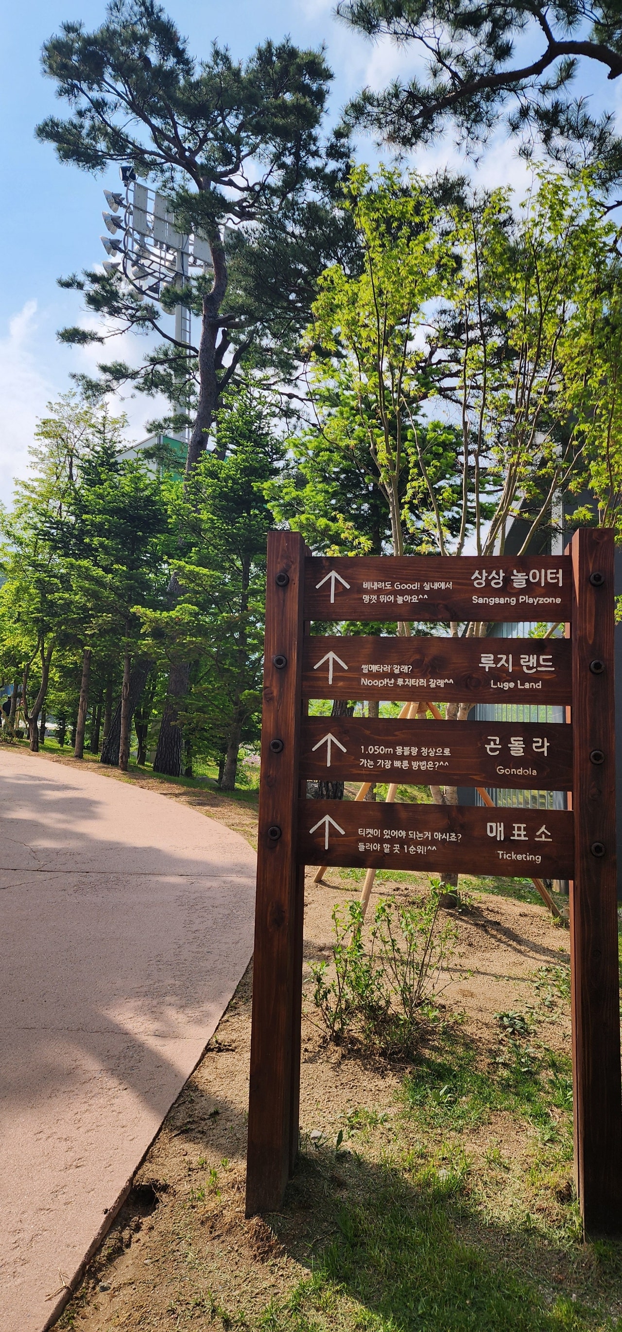 봄. 평창 휘닉스 파크 여행