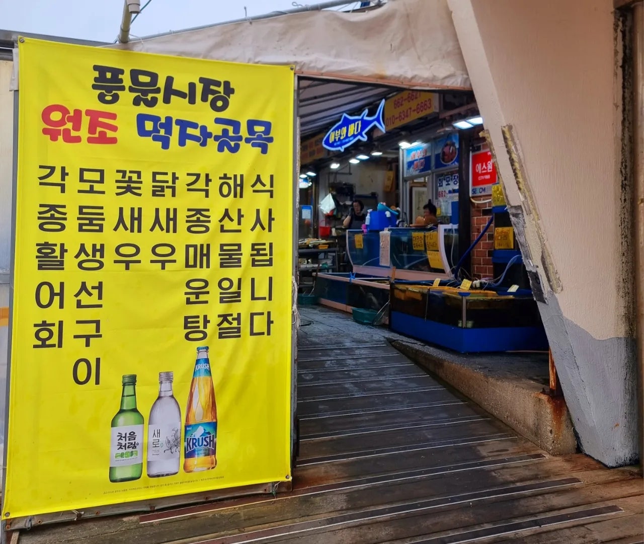 속초 종합적으로 뿌시기~~^^
