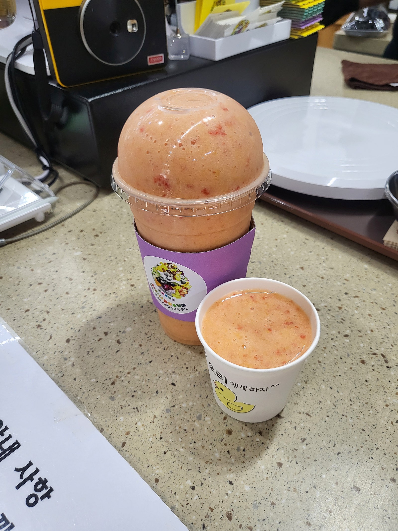세아네 과인 & 카페