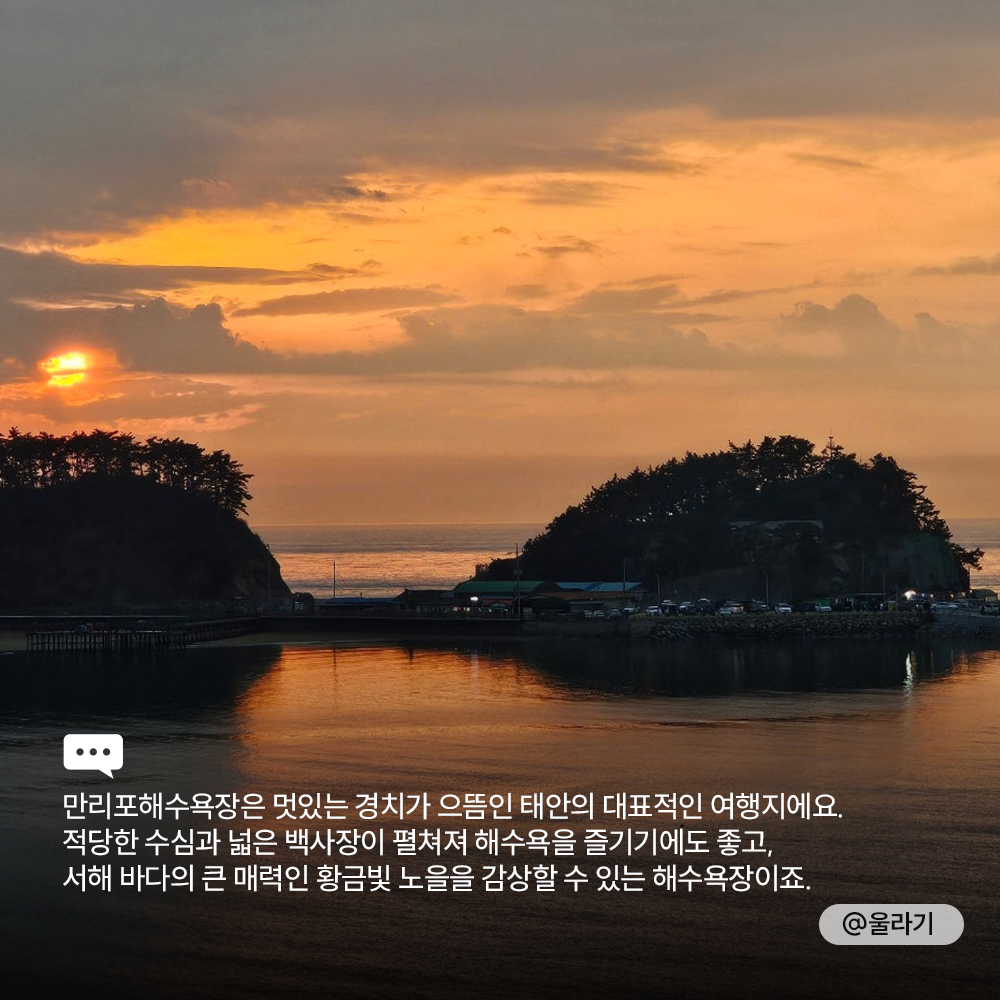 🌊<TRIP Drop> 여름 바다 여행 떠난다면 집중!🏊♂️ 여름 해변 소개와 함께 개장일 & 폐장일 정보도 전해 드려요. + 추천 숙소도 함께!