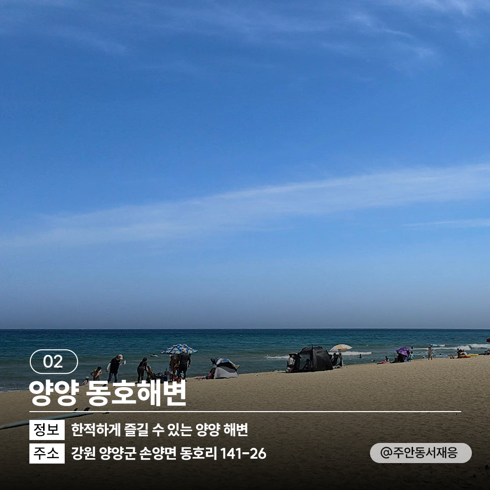 🌊<TRIP Drop> 여름 바다 여행 떠난다면 집중!🏊♂️ 여름 해변 소개와 함께 개장일 & 폐장일 정보도 전해 드려요. + 추천 숙소도 함께!