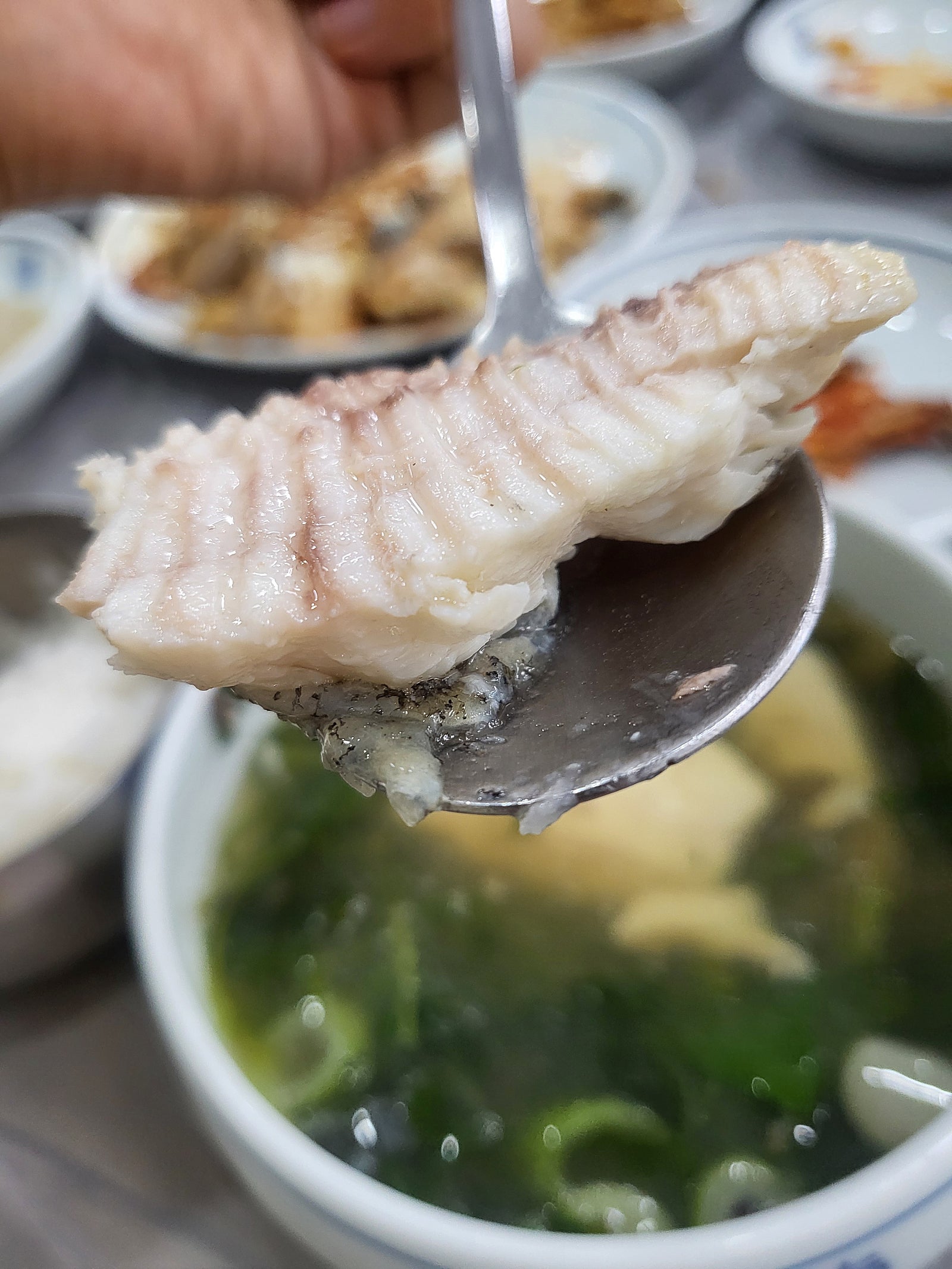 풍미 : 도다리쑥국