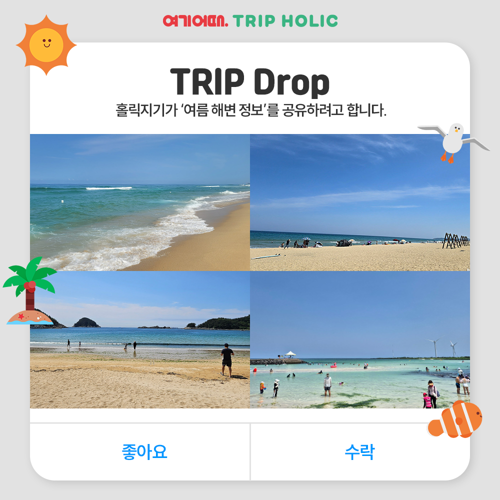 🌊<TRIP Drop> 여름 바다 여행 떠난다면 집중!🏊♂️ 여름 해변 소개와 함께 개장일 & 폐장일 정보도 전해 드려요. + 추천 숙소도 함께!