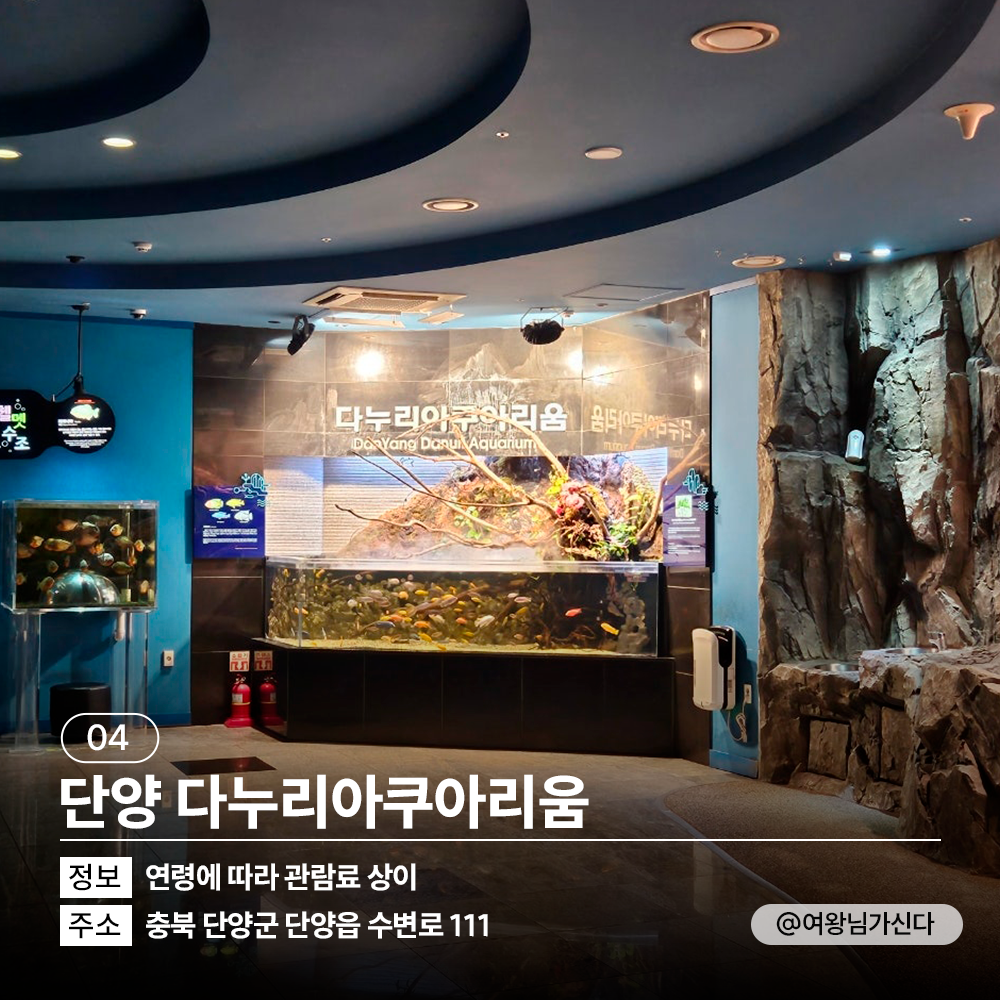 🌂<TRIP Drop> 다가오는 장마 여행지 고민 해결! 비 오는 날 갈만한 곳과 추천 숙소로 실내 여행 가볼까요?🌧