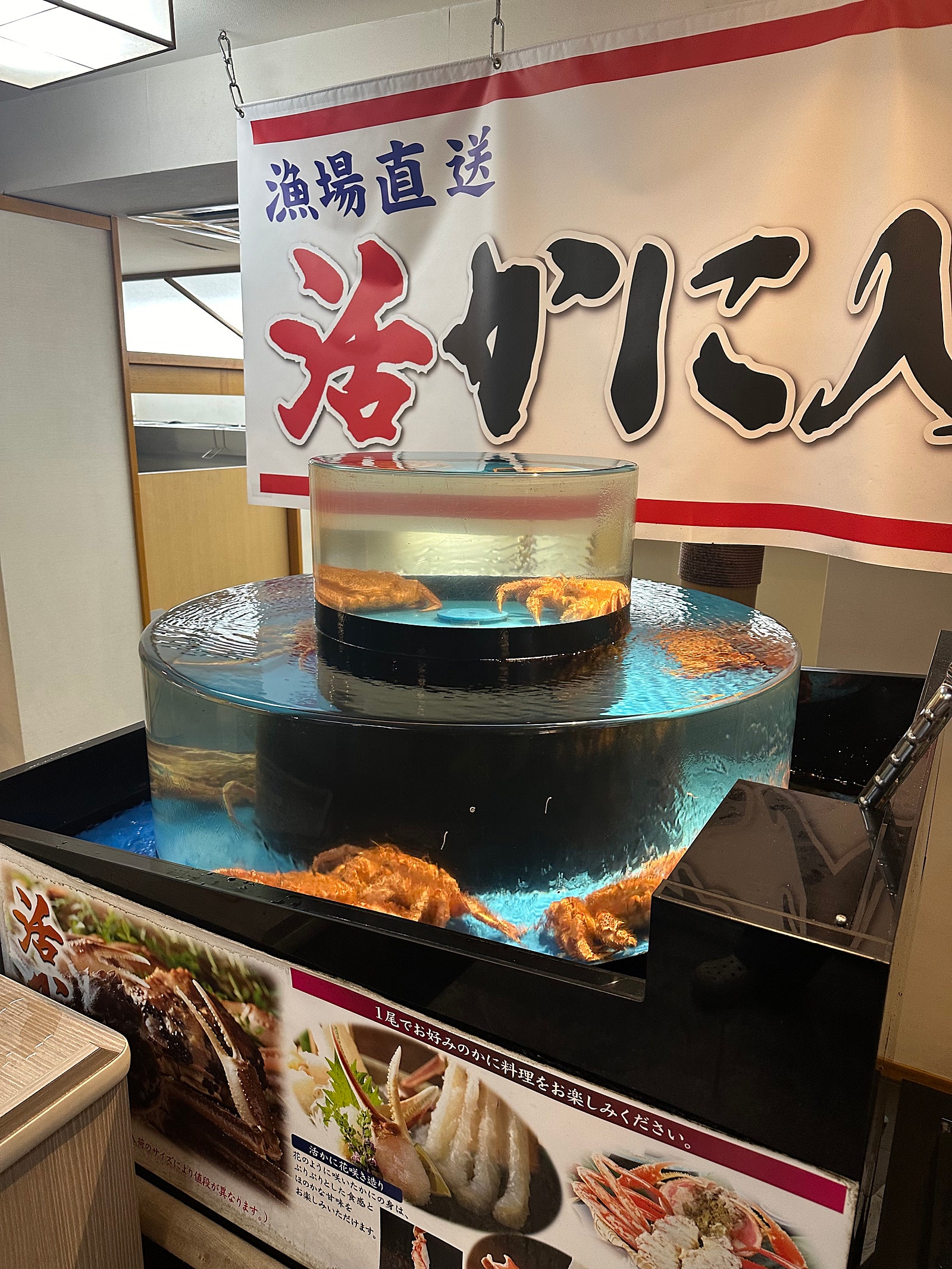 🍣알차게 다녀온 교토/오사카 4박5일 여행일기 [1~2일차]🍣