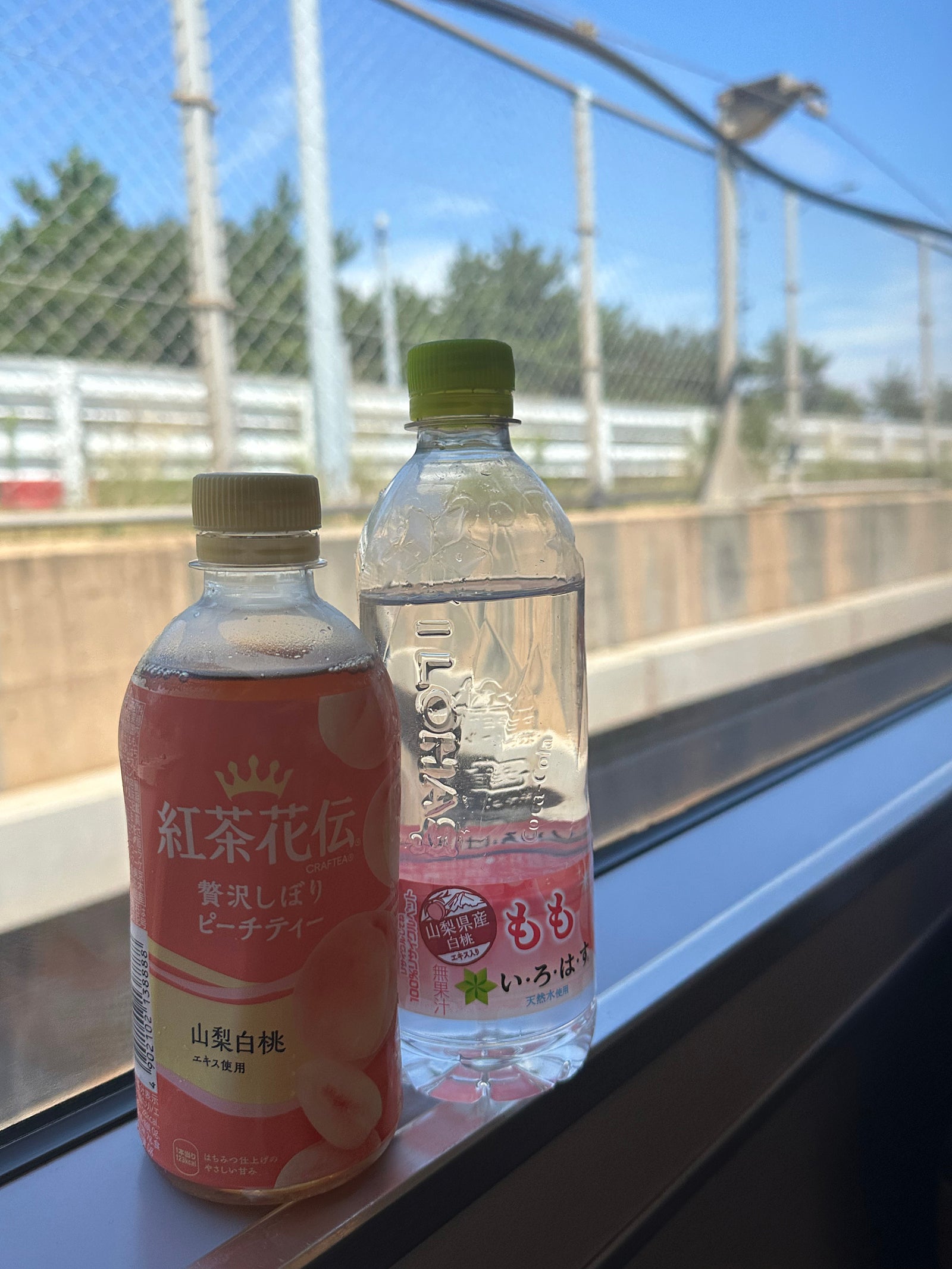 🍣알차게 다녀온 교토/오사카 4박5일 여행일기 [1~2일차]🍣
