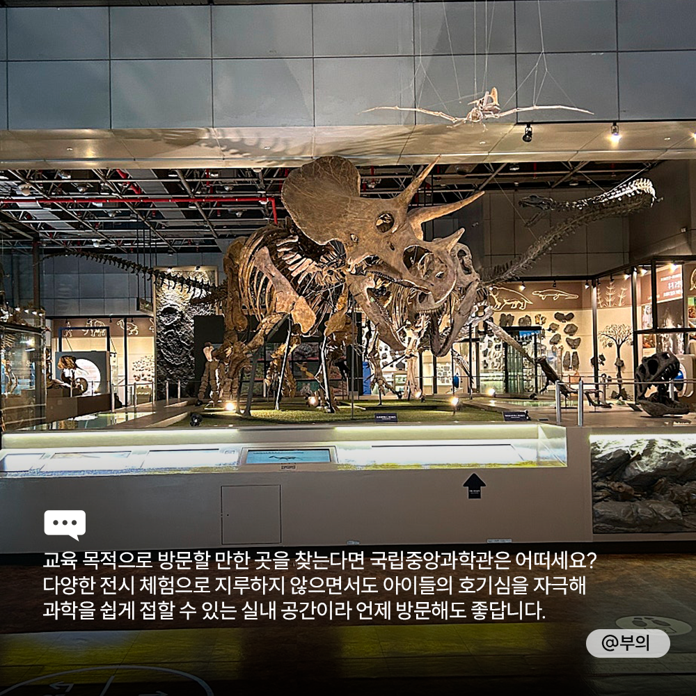 🌂<TRIP Drop> 다가오는 장마 여행지 고민 해결! 비 오는 날 갈만한 곳과 추천 숙소로 실내 여행 가볼까요?🌧