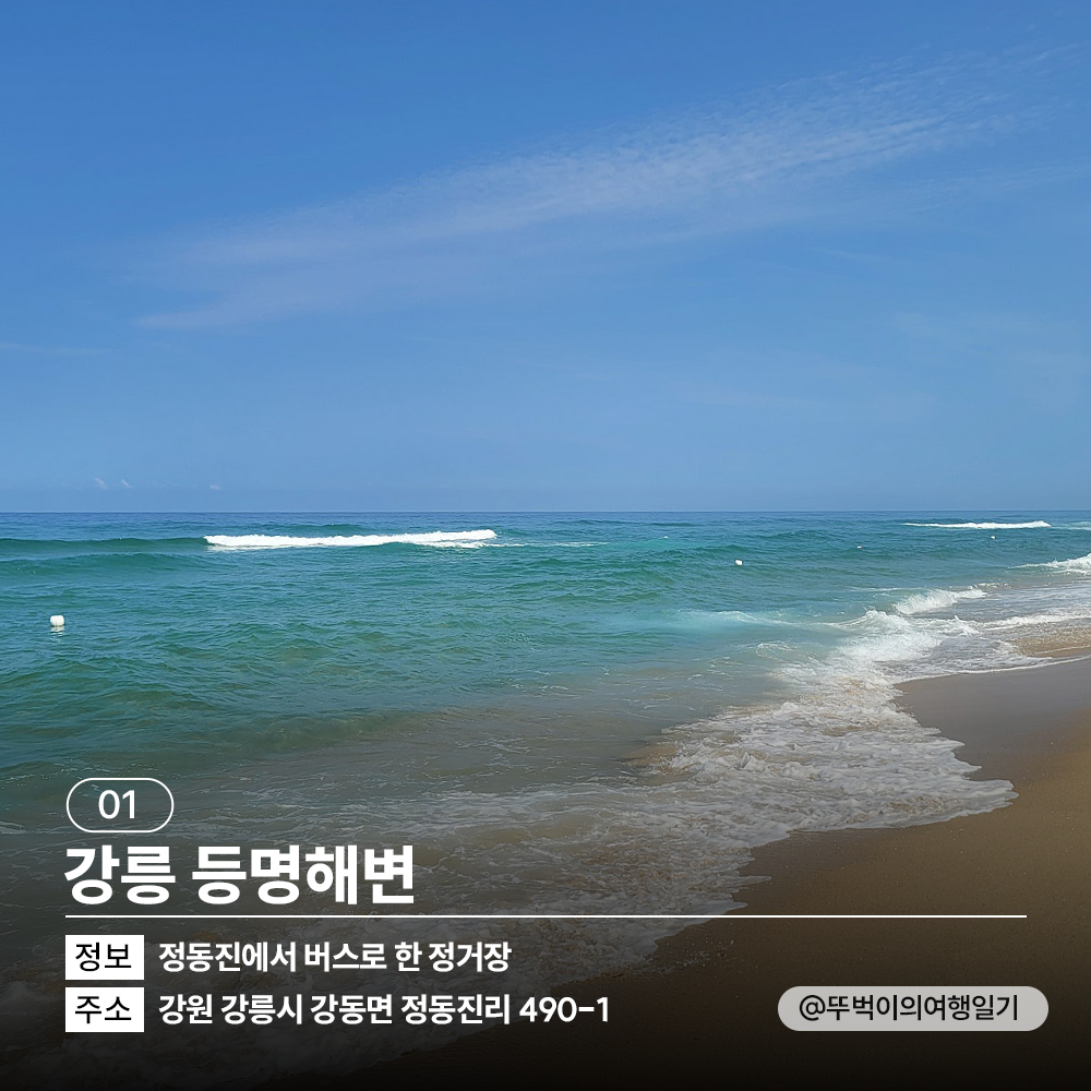 🌊<TRIP Drop> 여름 바다 여행 떠난다면 집중!🏊♂️ 여름 해변 소개와 함께 개장일 & 폐장일 정보도 전해 드려요. + 추천 숙소도 함께!