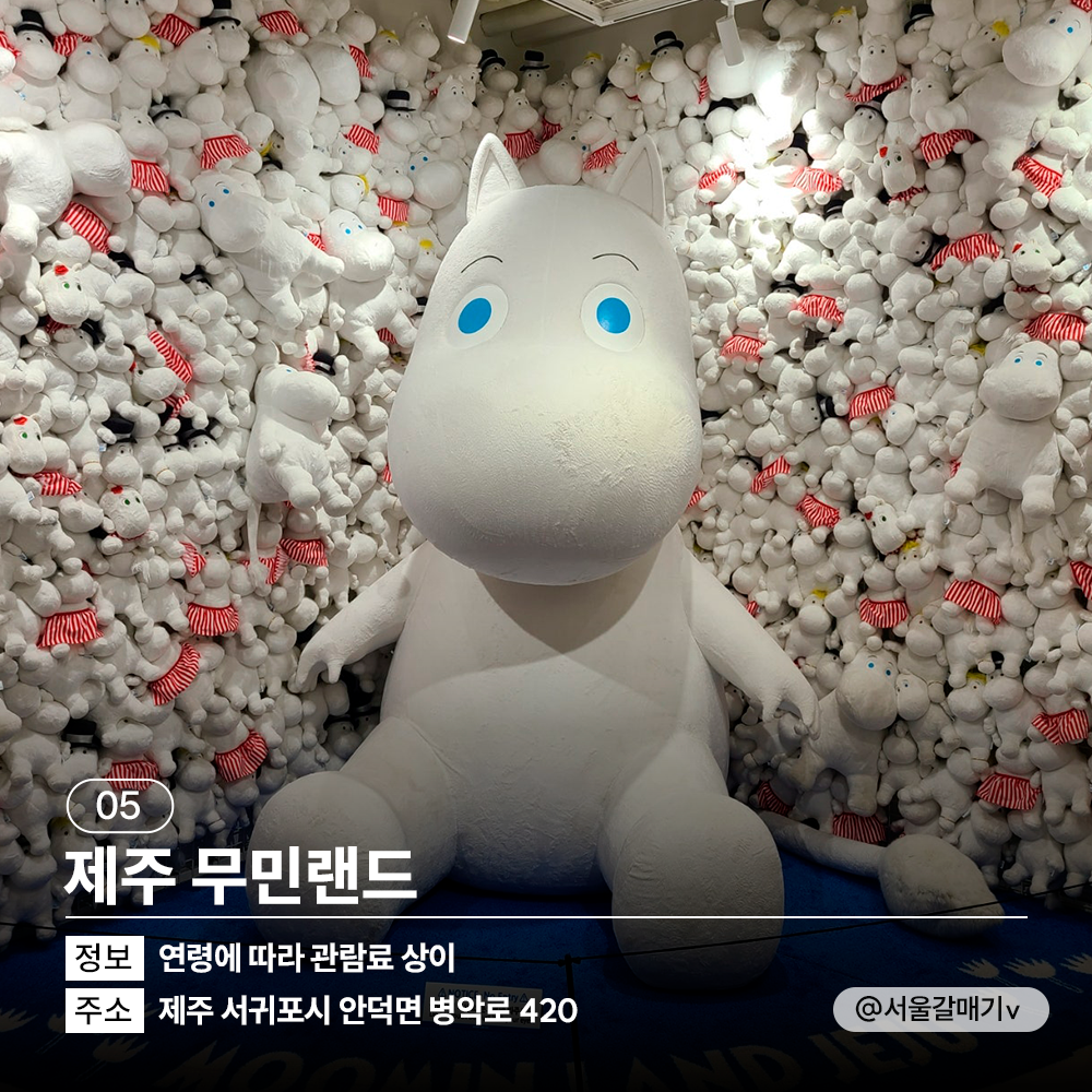 🌂<TRIP Drop> 다가오는 장마 여행지 고민 해결! 비 오는 날 갈만한 곳과 추천 숙소로 실내 여행 가볼까요?🌧
