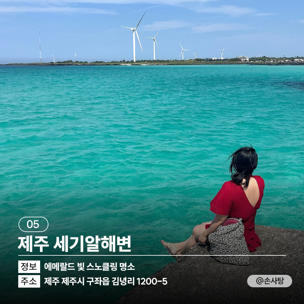 🌊<TRIP Drop> 여름 바다 여행 떠난다면 집중!🏊♂️ 여름 해변 소개와 함께 개장일 & 폐장일 정보도 전해 드려요. + 추천 숙소도 함께!