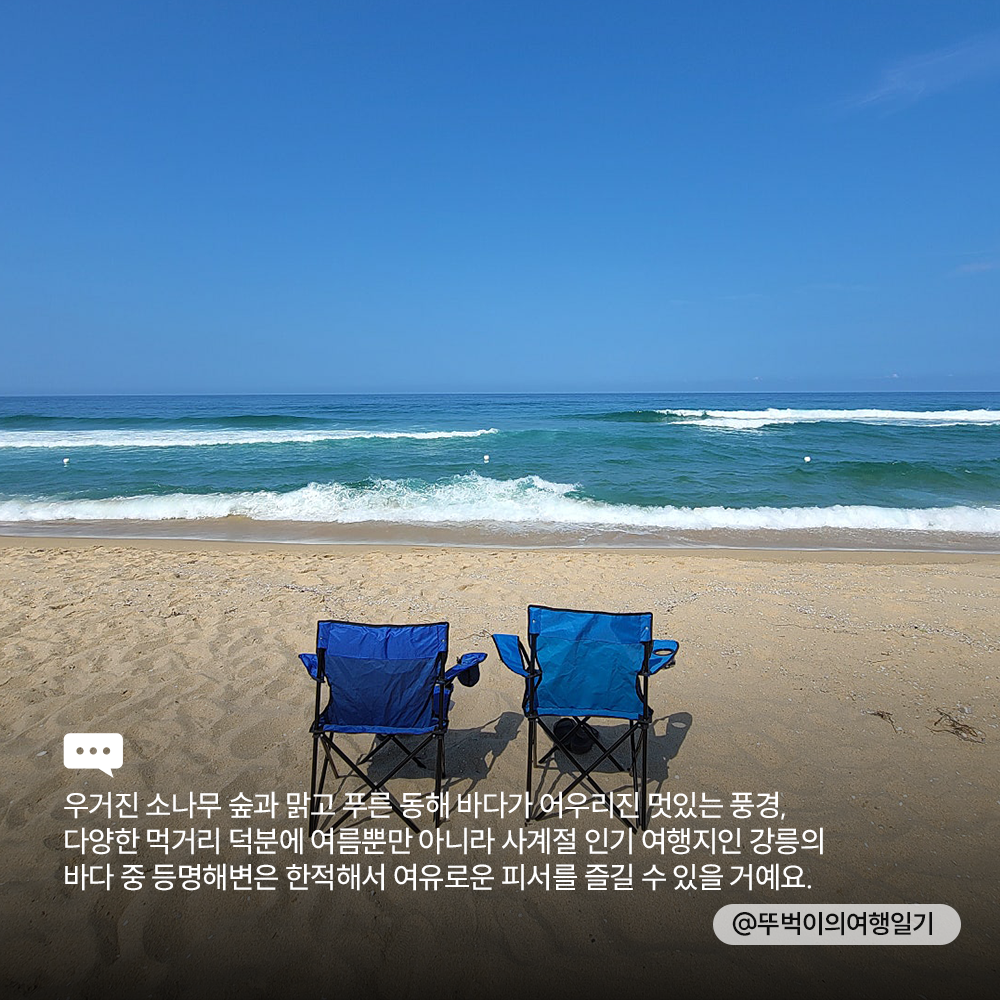 🌊<TRIP Drop> 여름 바다 여행 떠난다면 집중!🏊♂️ 여름 해변 소개와 함께 개장일 & 폐장일 정보도 전해 드려요. + 추천 숙소도 함께!