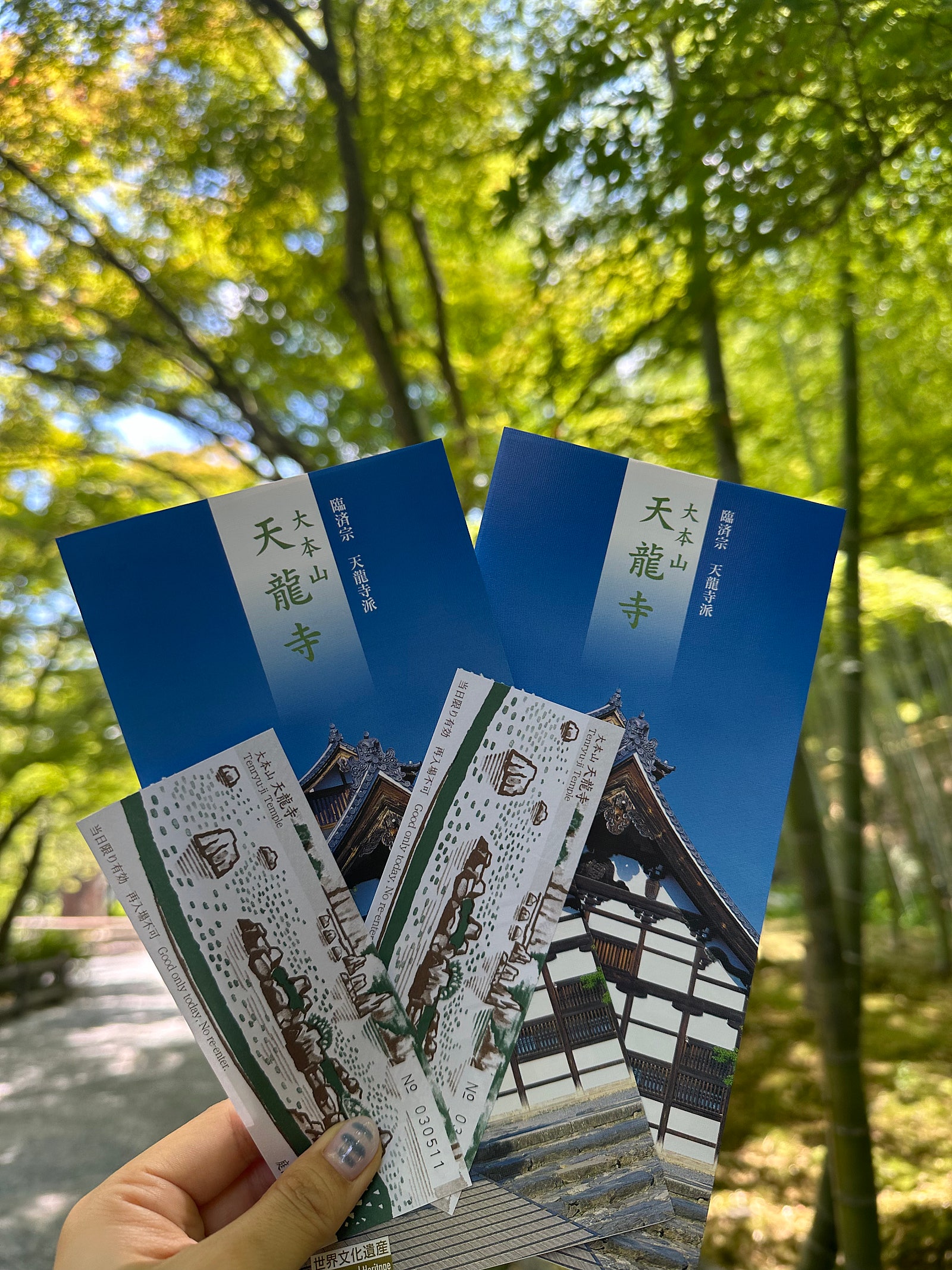 🍣알차게 다녀온 교토/오사카 4박5일 여행일기 [1~2일차]🍣