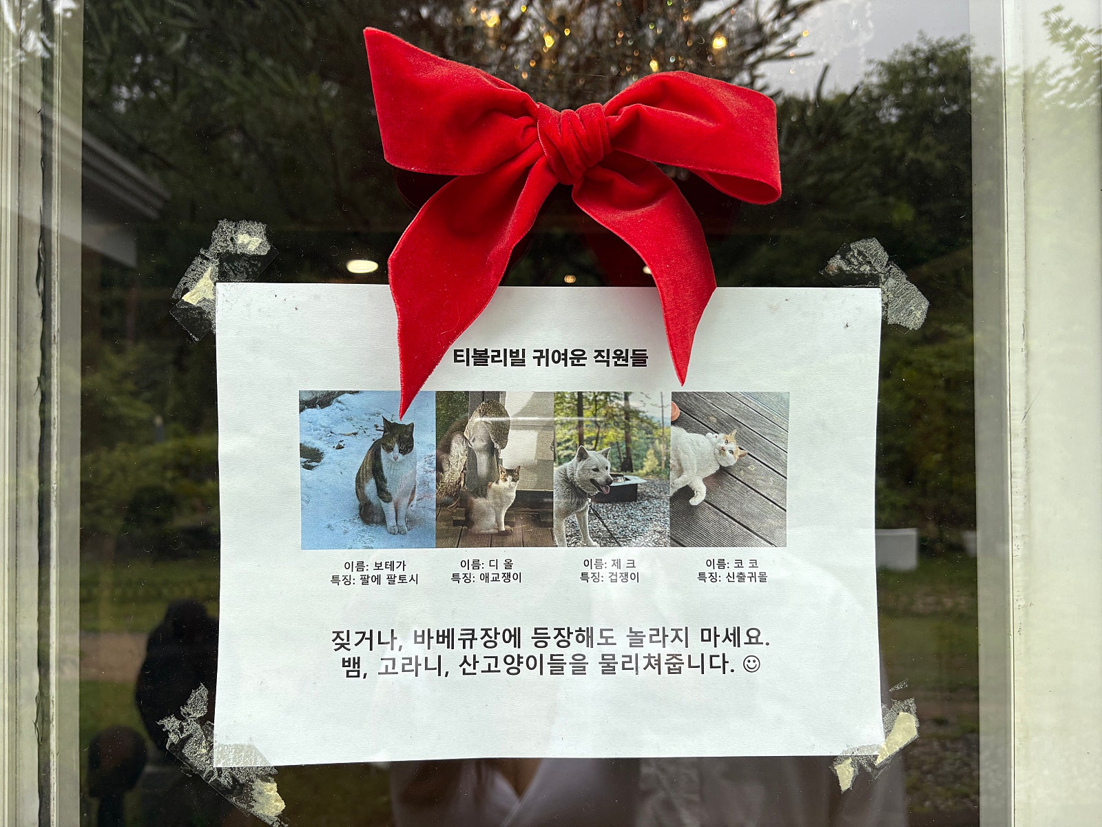 서울에서 50분! #여름 #풀빌라 #인피니티풀 #갈비 #계곡 맛있고 멋있는 포천여행기 !