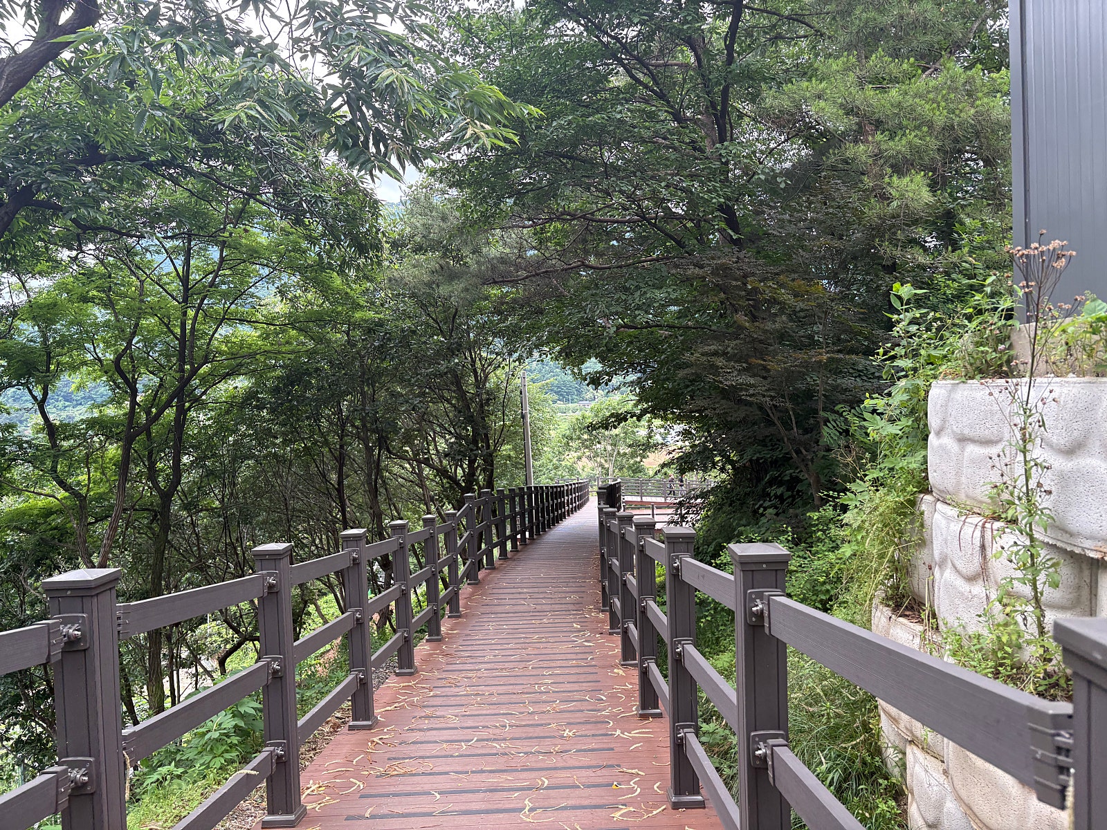 포천 Y자출렁다리