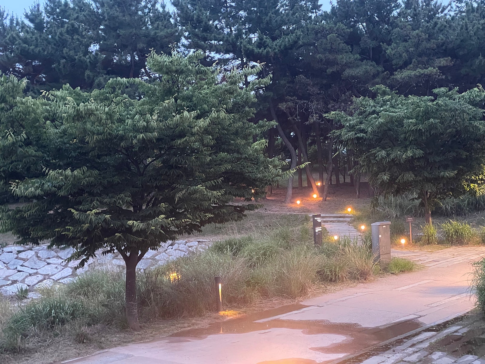 인천 네스트호텔 호캉스 후기(거품 파티 후기)