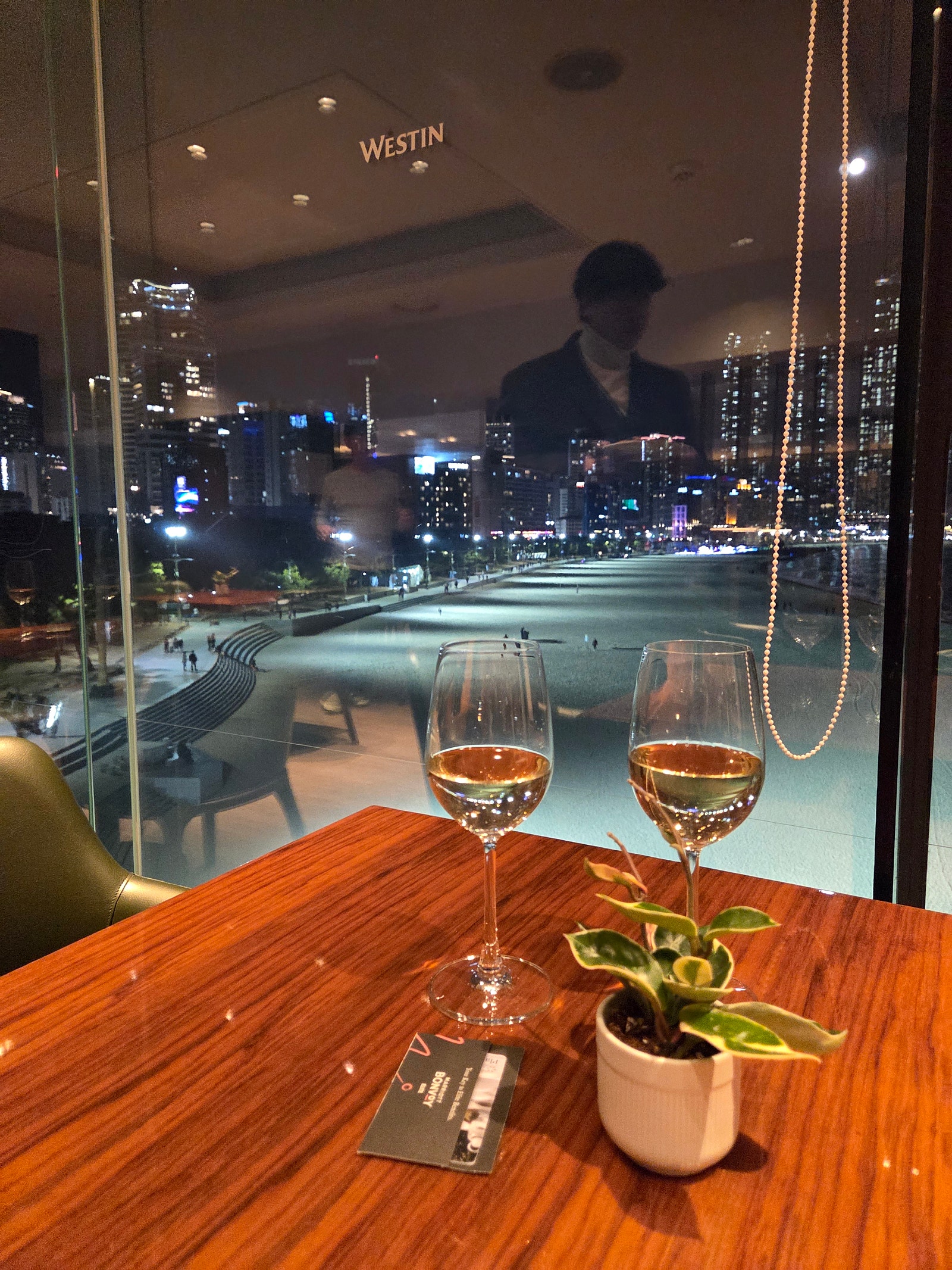[여행일기] 수친자의 여름은 해운대에서 시작된다 🌊🏊