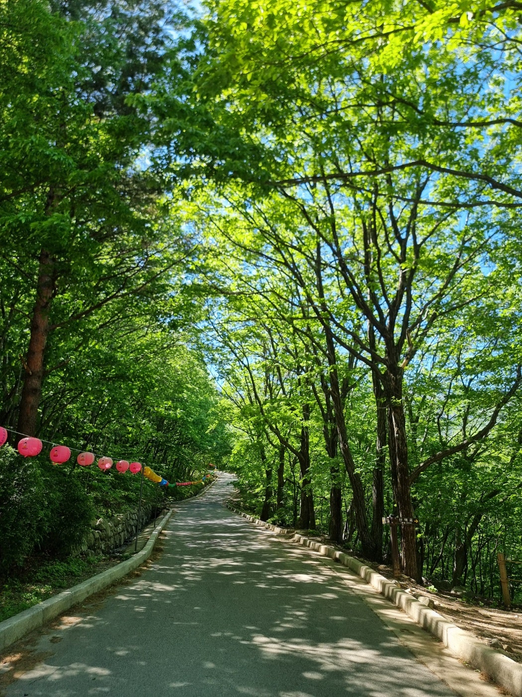 고성의 금강산 화엄사의 자연속으로 천진해변의 윈덤고성까지 접수하고왔어요
