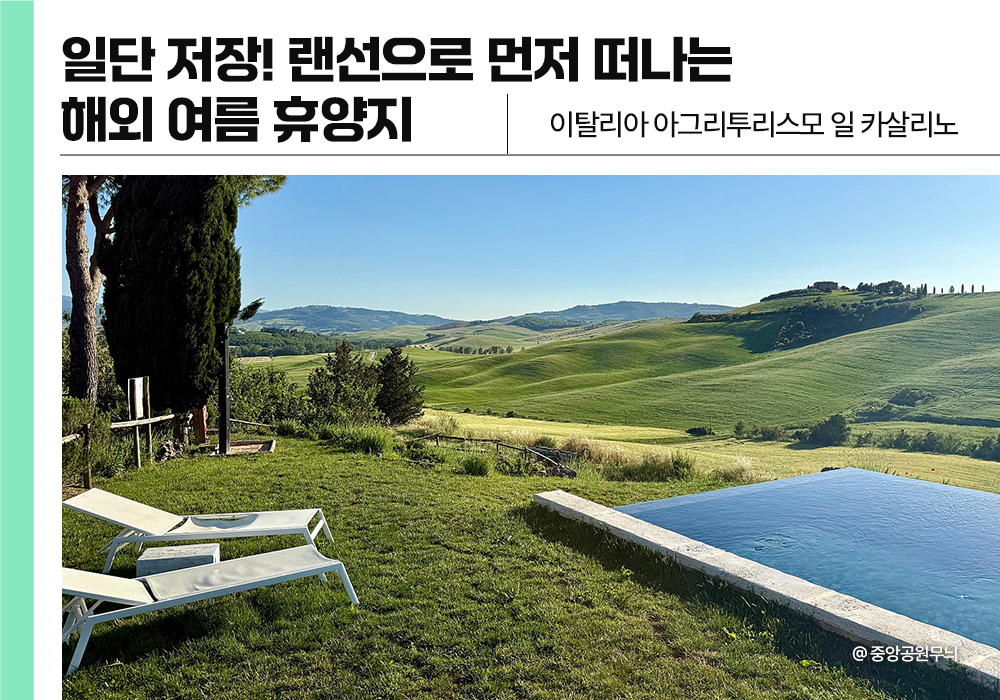 🔗중앙공원무늬