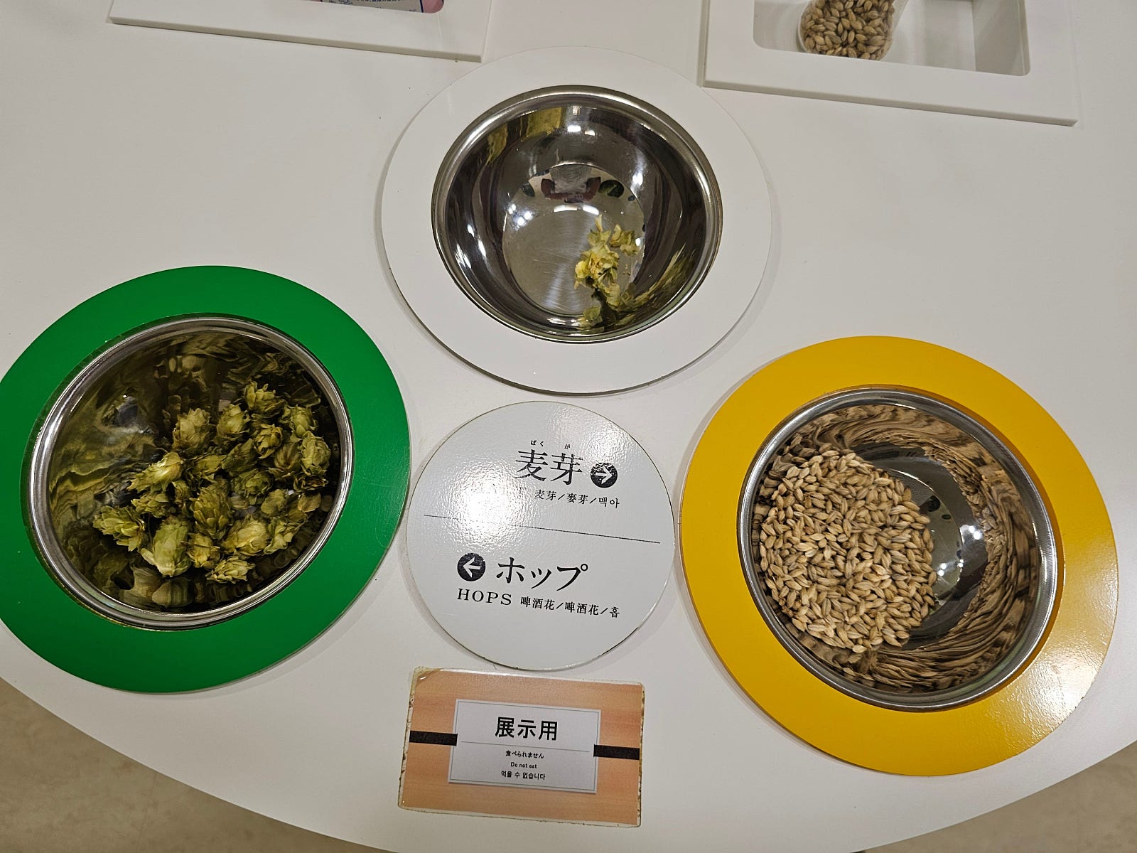 후쿠오카 기린맥주공장 투어 및 숲속 노천탕 힐링, 밤엔 소고기+술 무제한🔥 극락 다녀온 후쿠오카 2일차