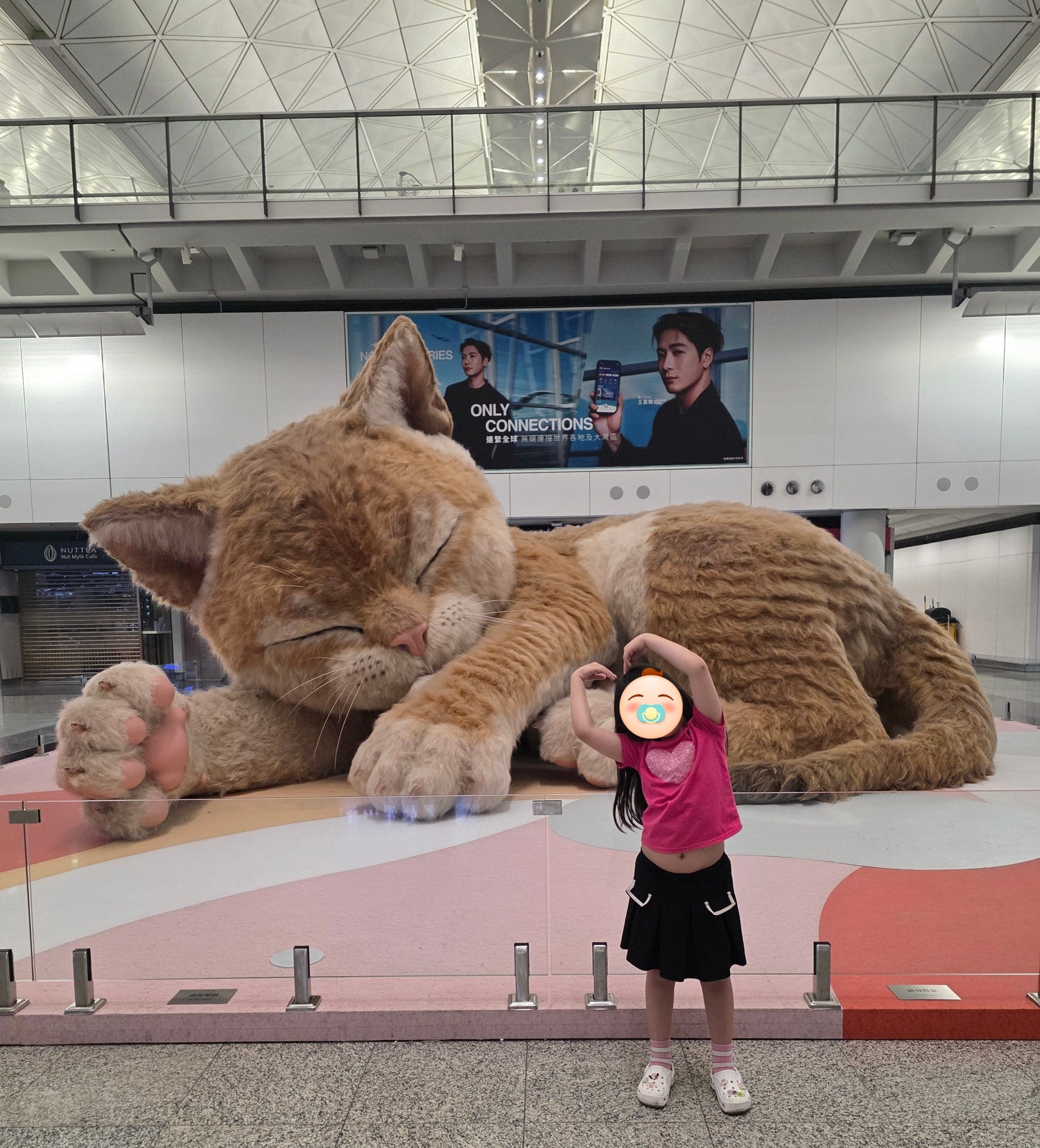공항 고양이, 새벽이라 한산한 로비, 로비에 위치한 조식당, 고층 하버 뷰 객실