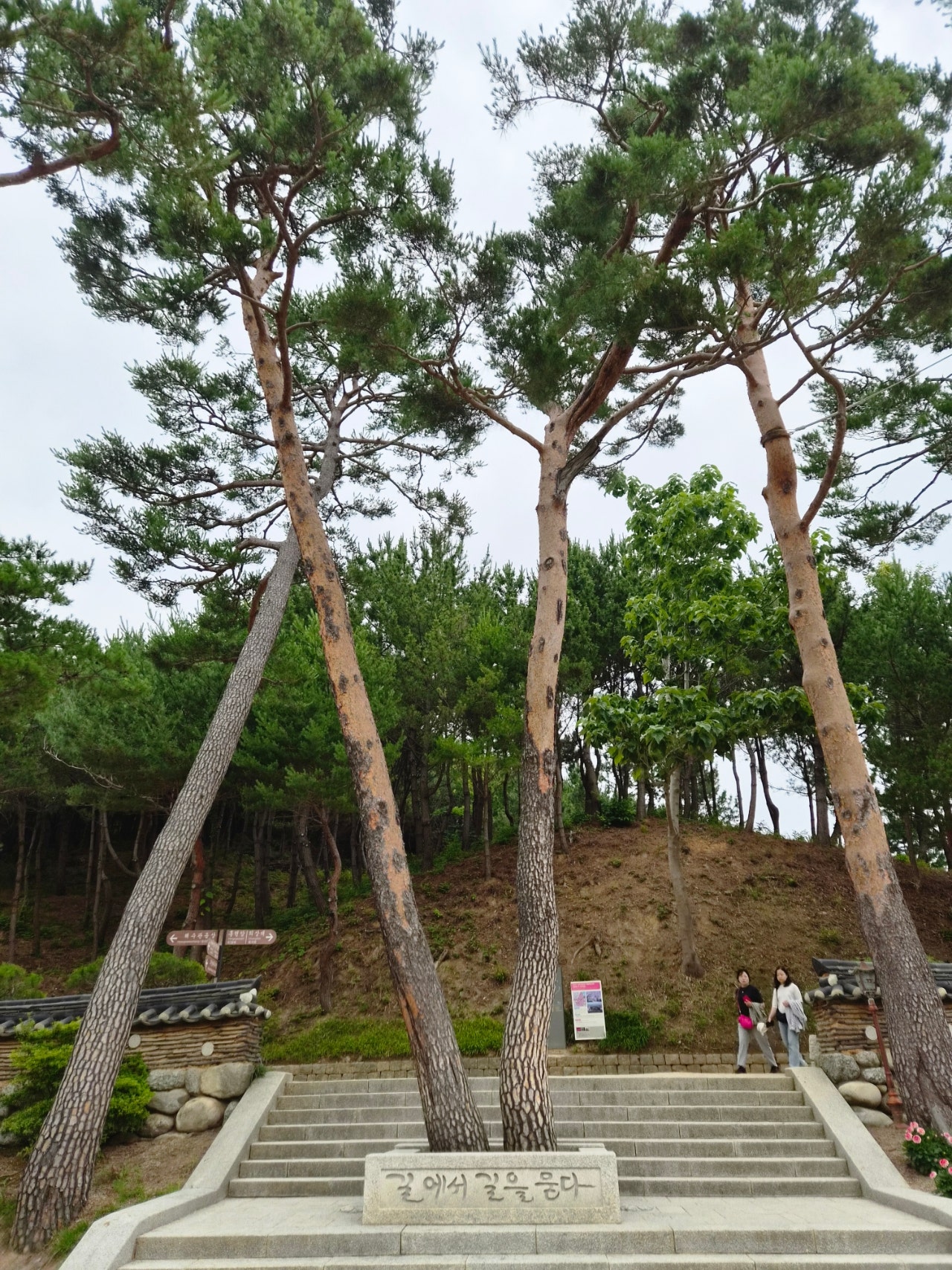 1박2일 뚜벅이로 혼자 양양 다녀왔어요(숙소는 바다뷰펜션)