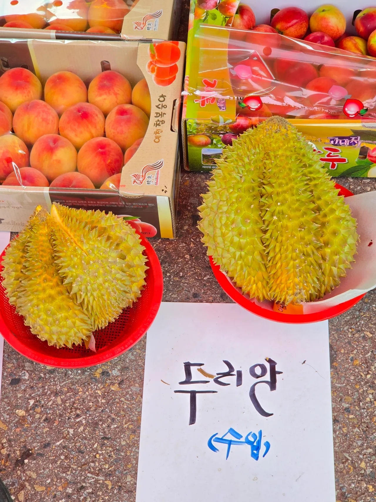 엄니모시고 평창 봉평재래시장,남촌막국수먹고 이효석문확관 효석 달빛언덕보고 라마다호텔에서 숙면한 1일차