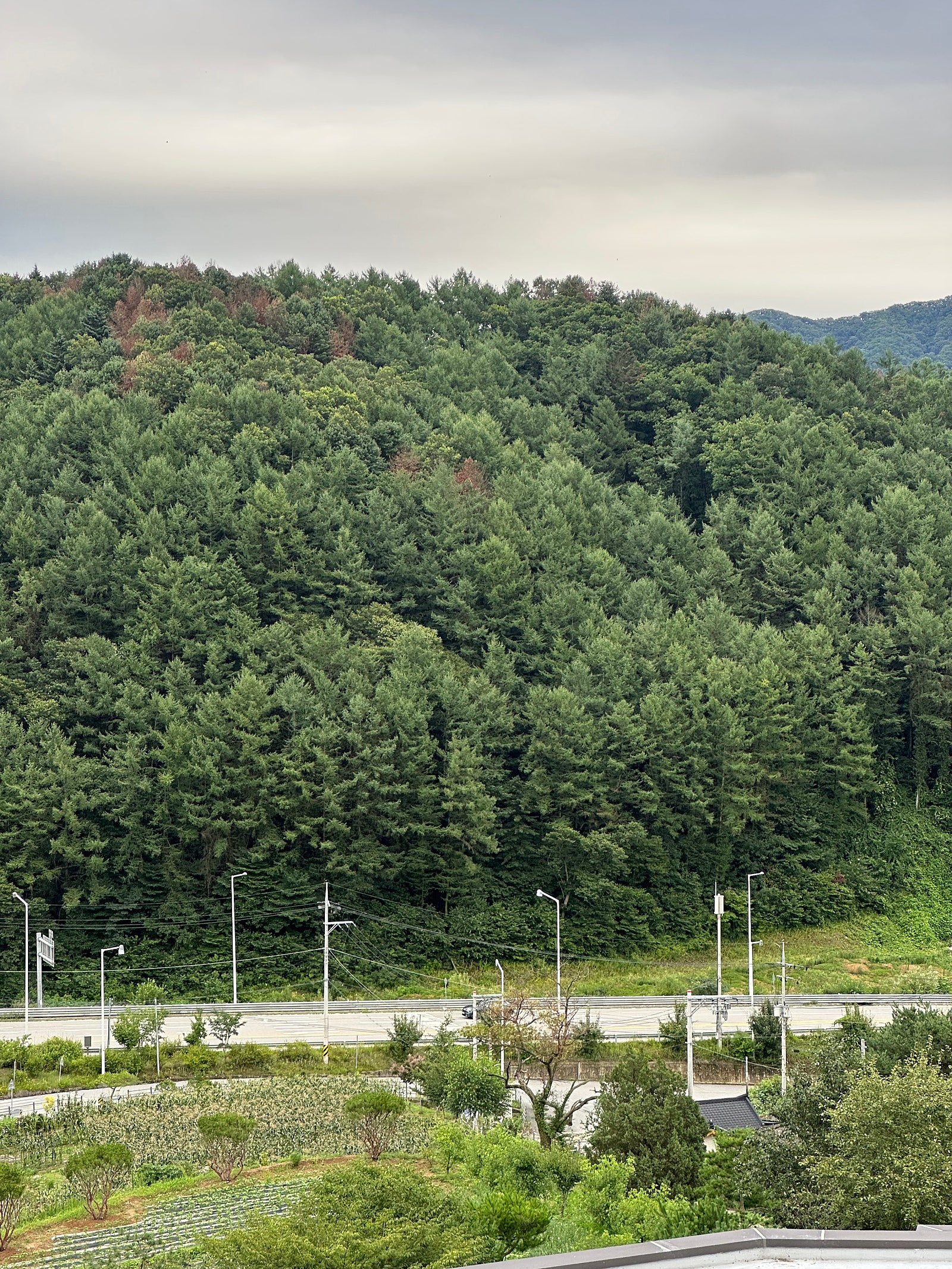 인스타디엠폭주!춘천 독채 커플,가족숙소💚✨후기 많이 없는 스테이더힐 감성 숙소 정보