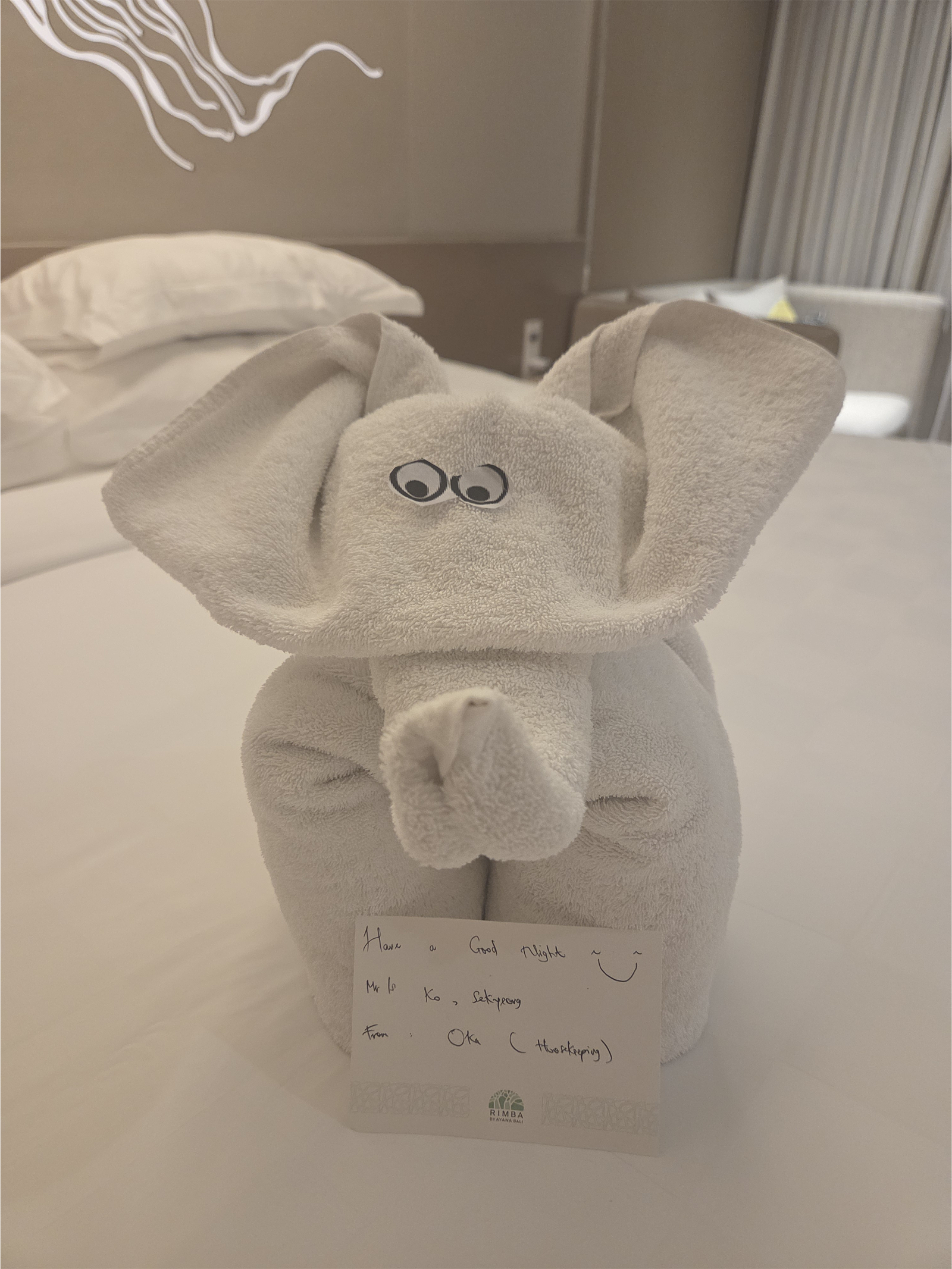 [여행노트] 혼자 즐긴 여름휴가♡ 발리가 좋아져버린 림바아야나리조트 후기