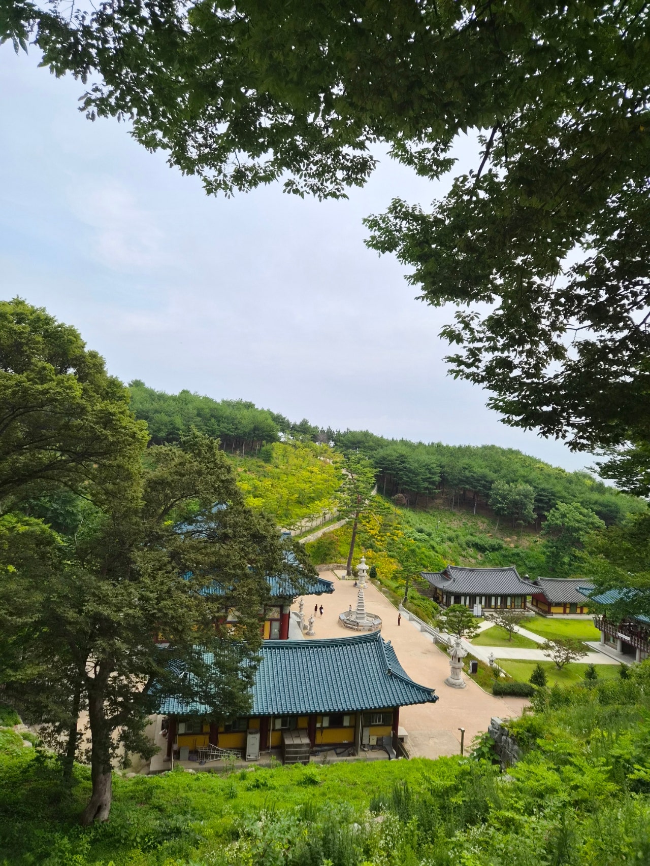 1박2일 뚜벅이로 혼자 양양 다녀왔어요(숙소는 바다뷰펜션)