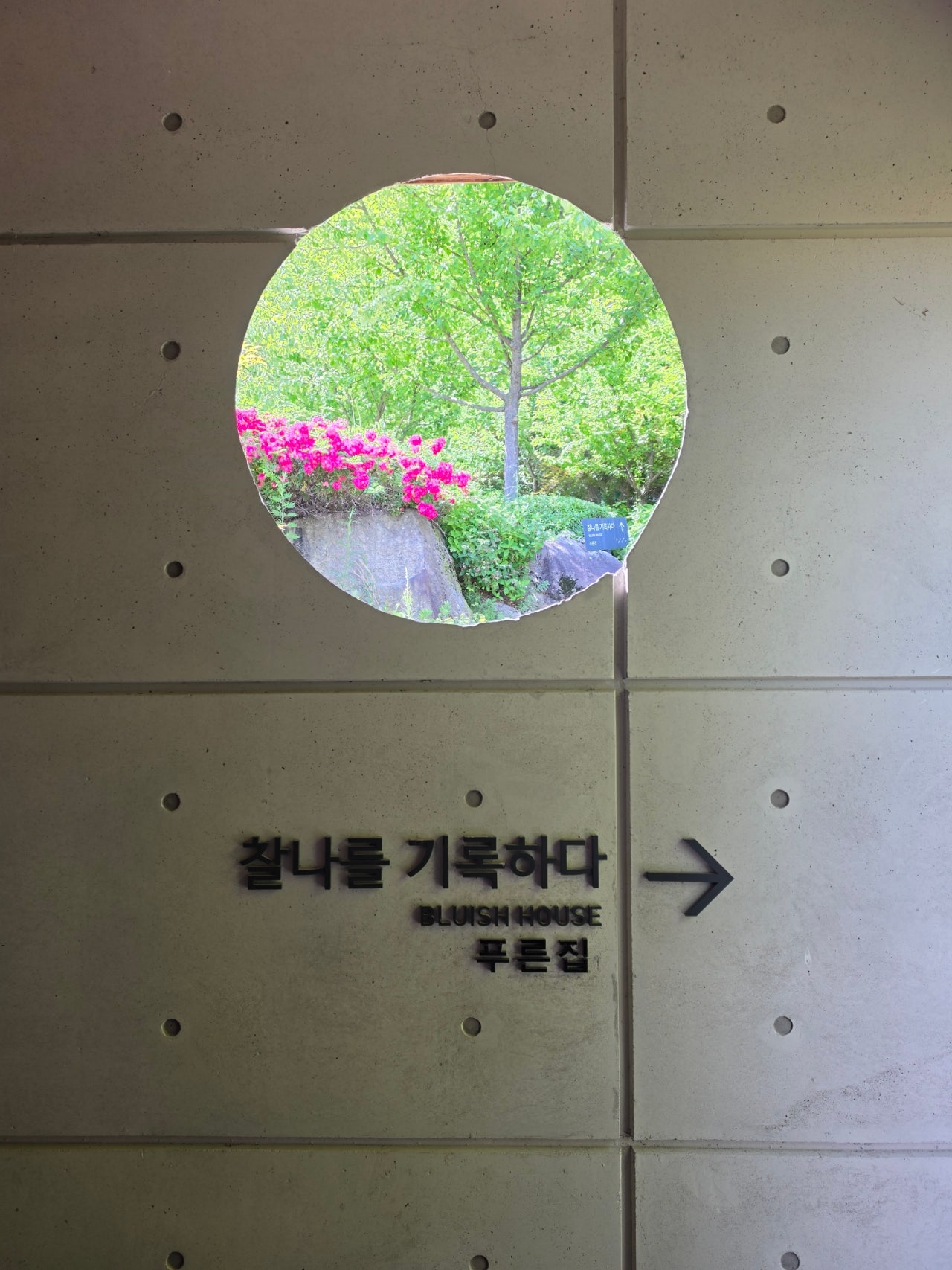 엄니모시고 평창 봉평재래시장,남촌막국수먹고 이효석문확관 효석 달빛언덕보고 라마다호텔에서 숙면한 1일차