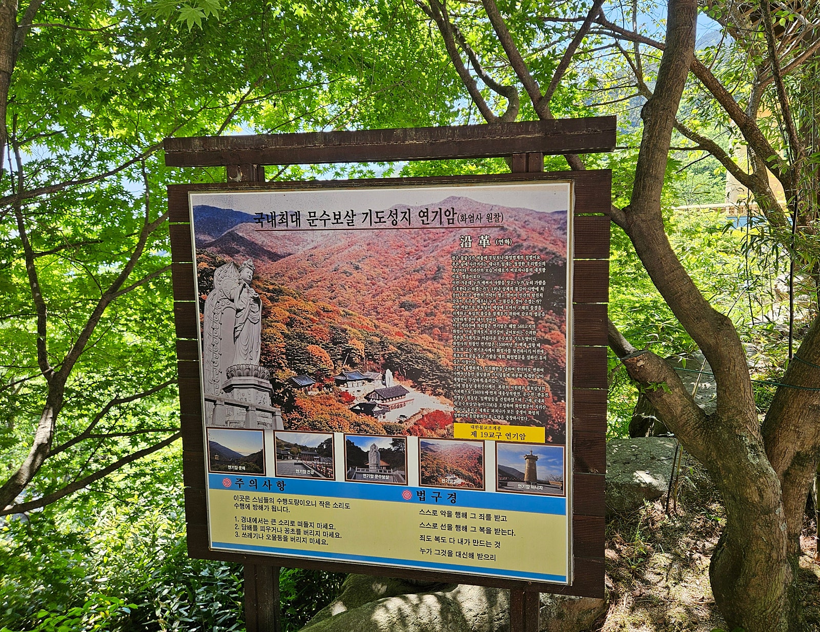 초록초록 힐링 가득했던 하동구례여행 - 구례편💚