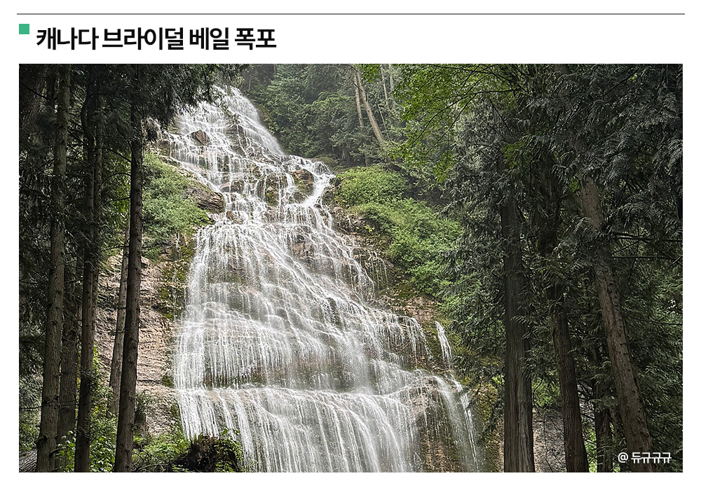 🔗듀규규규