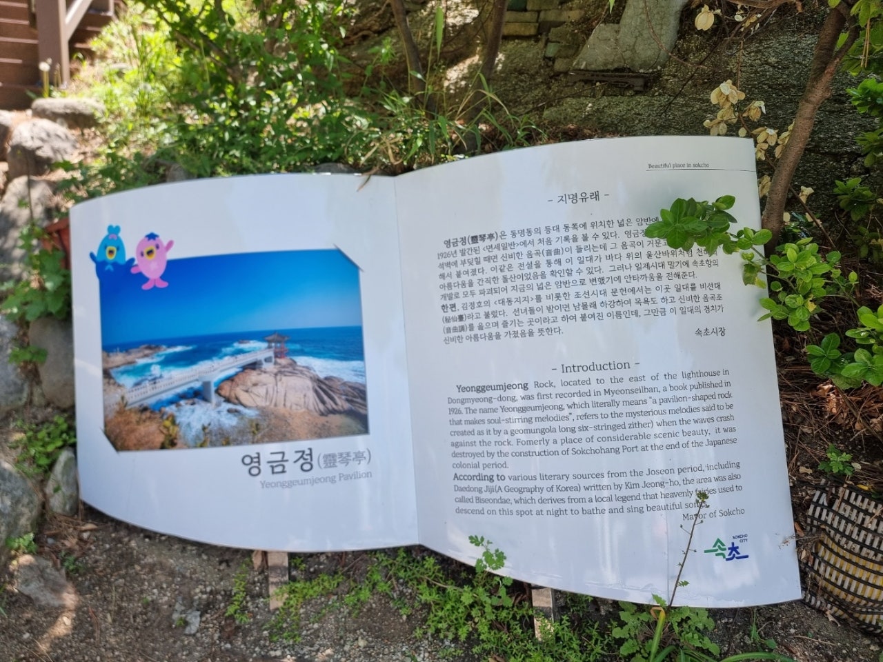 고성의 금강산 화엄사의 자연속으로 천진해변의 윈덤고성까지 접수하고왔어요