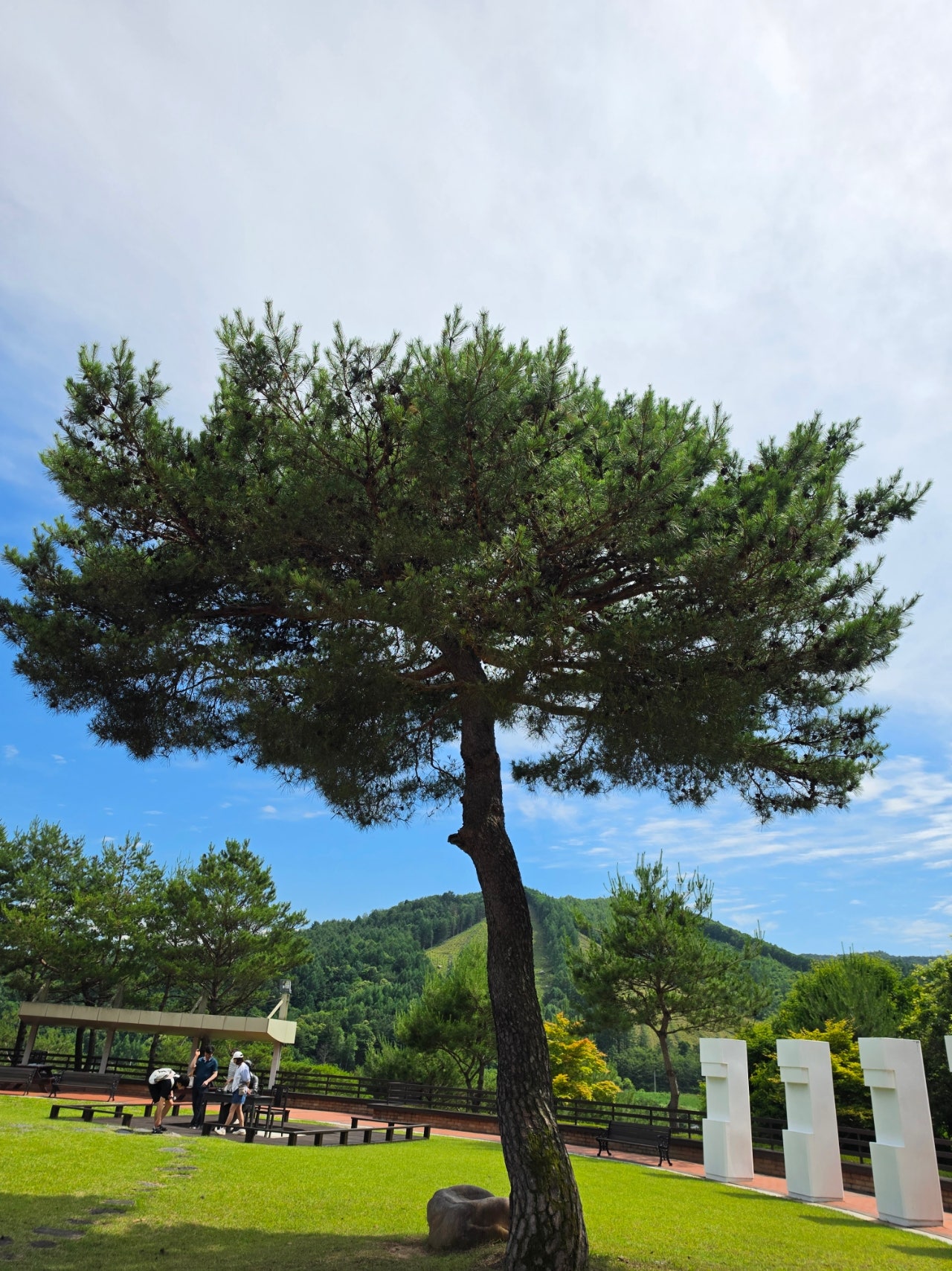 엄니모시고 평창 봉평재래시장,남촌막국수먹고 이효석문확관 효석 달빛언덕보고 라마다호텔에서 숙면한 1일차